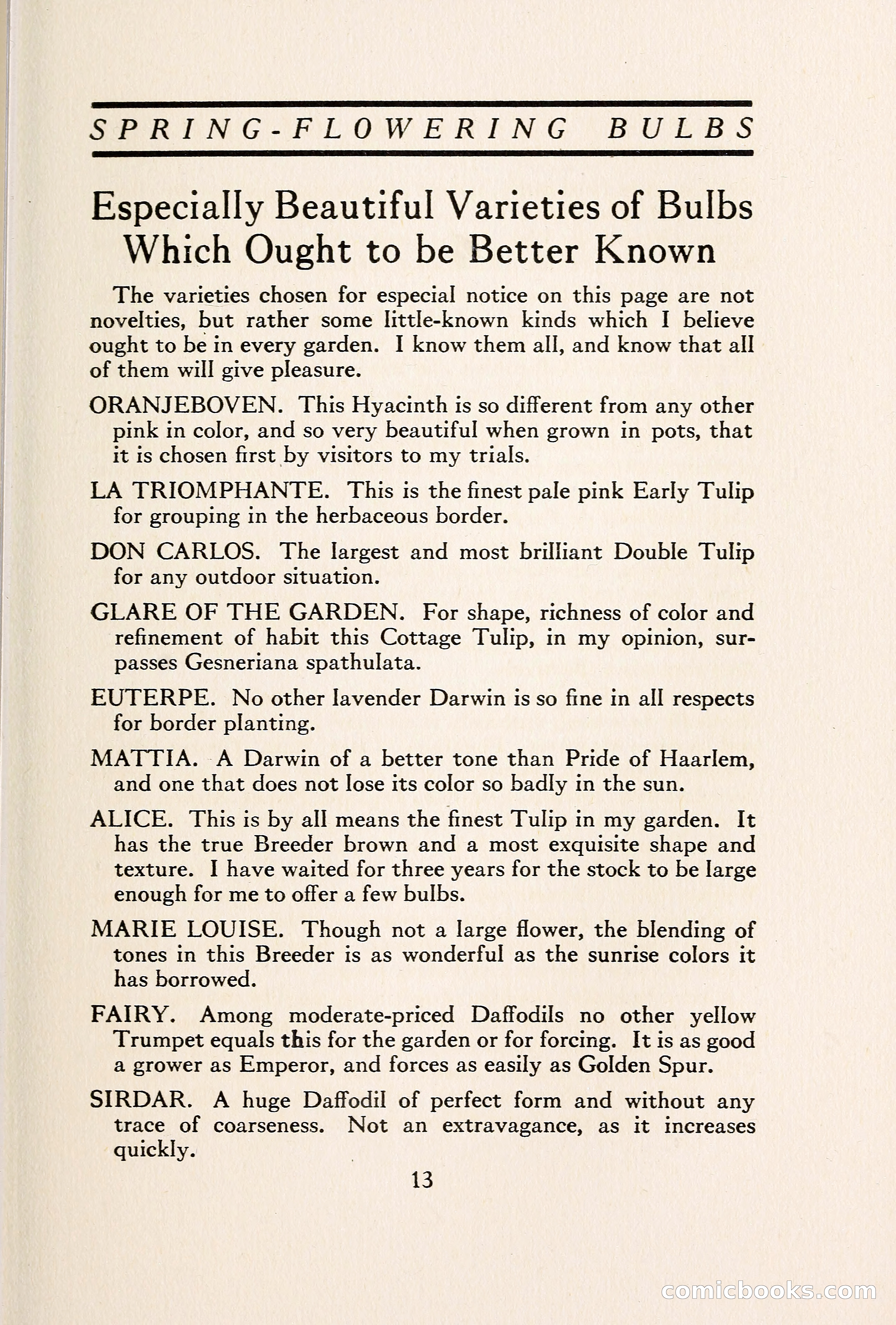Blue Book of Bulbs — page 20 of 109