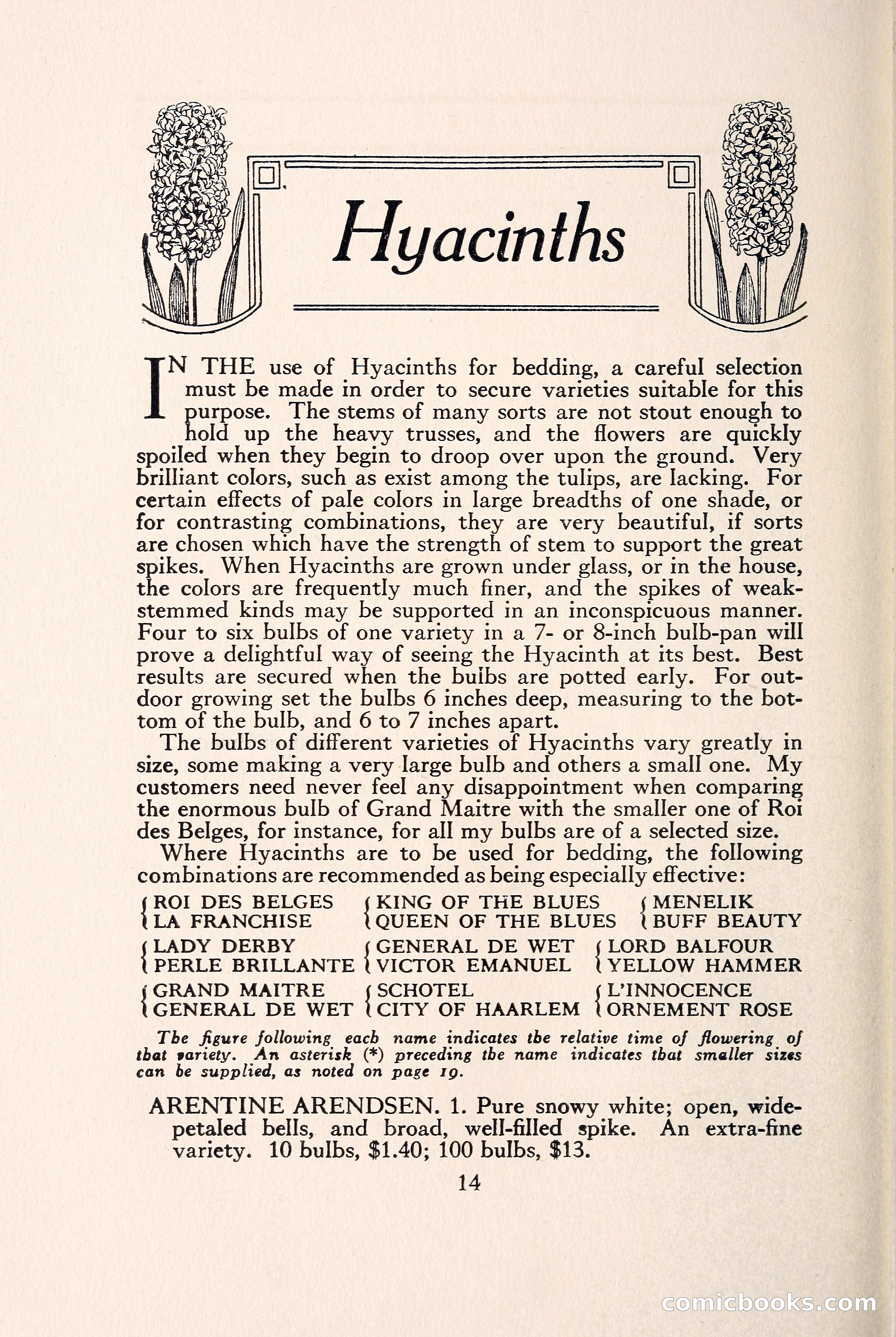 Blue Book of Bulbs — page 21 of 109