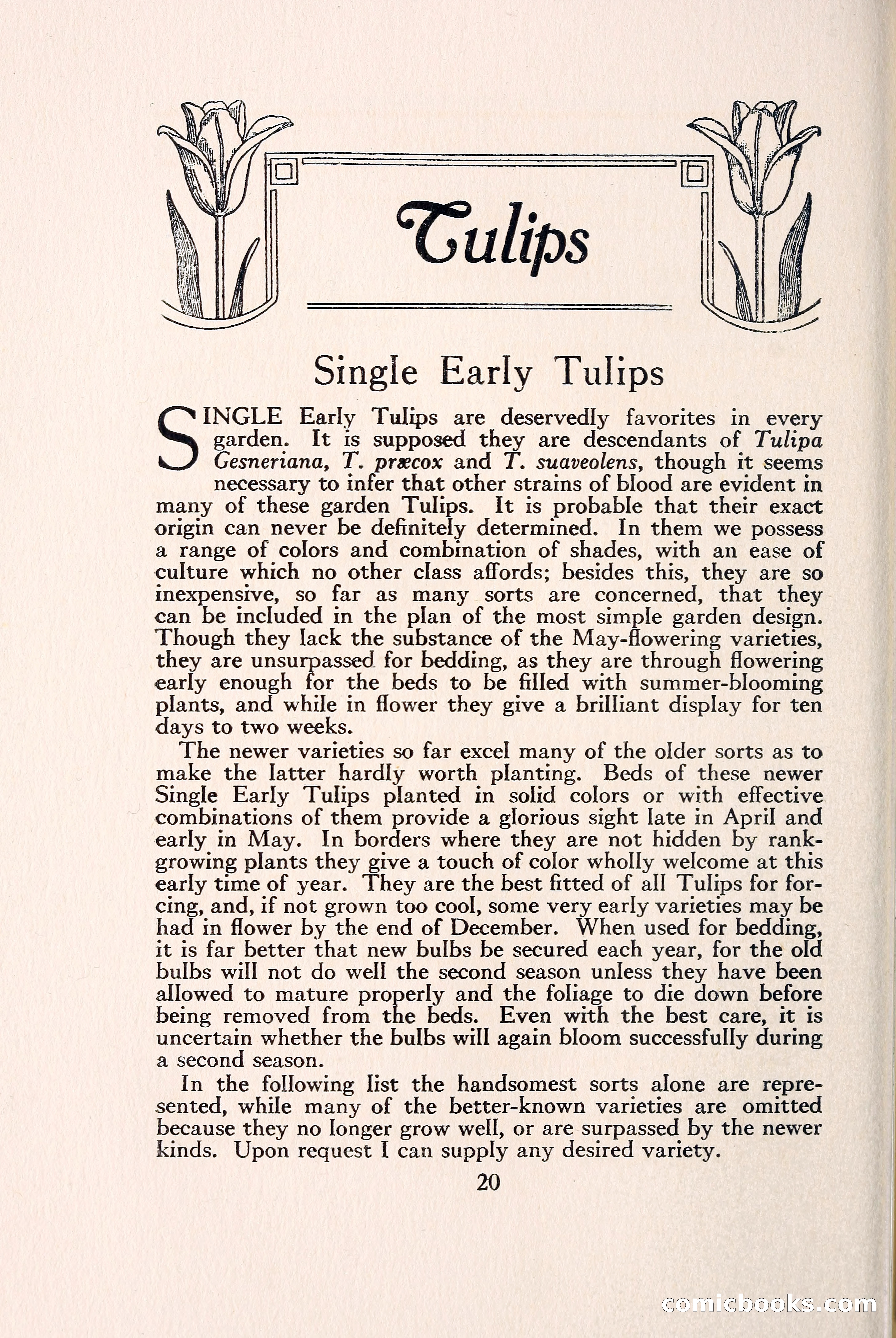 Blue Book of Bulbs — page 27 of 109