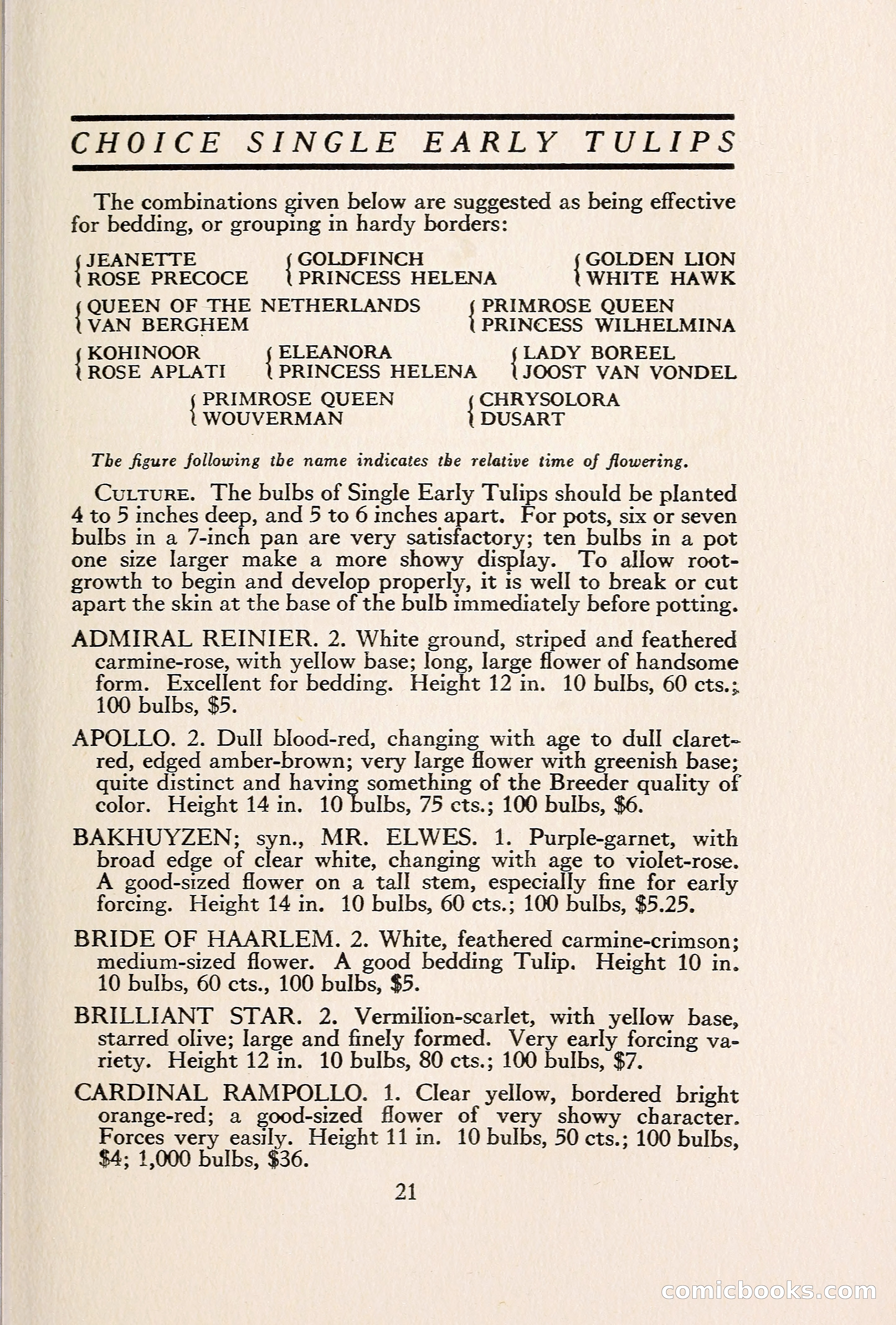 Blue Book of Bulbs — page 28 of 109