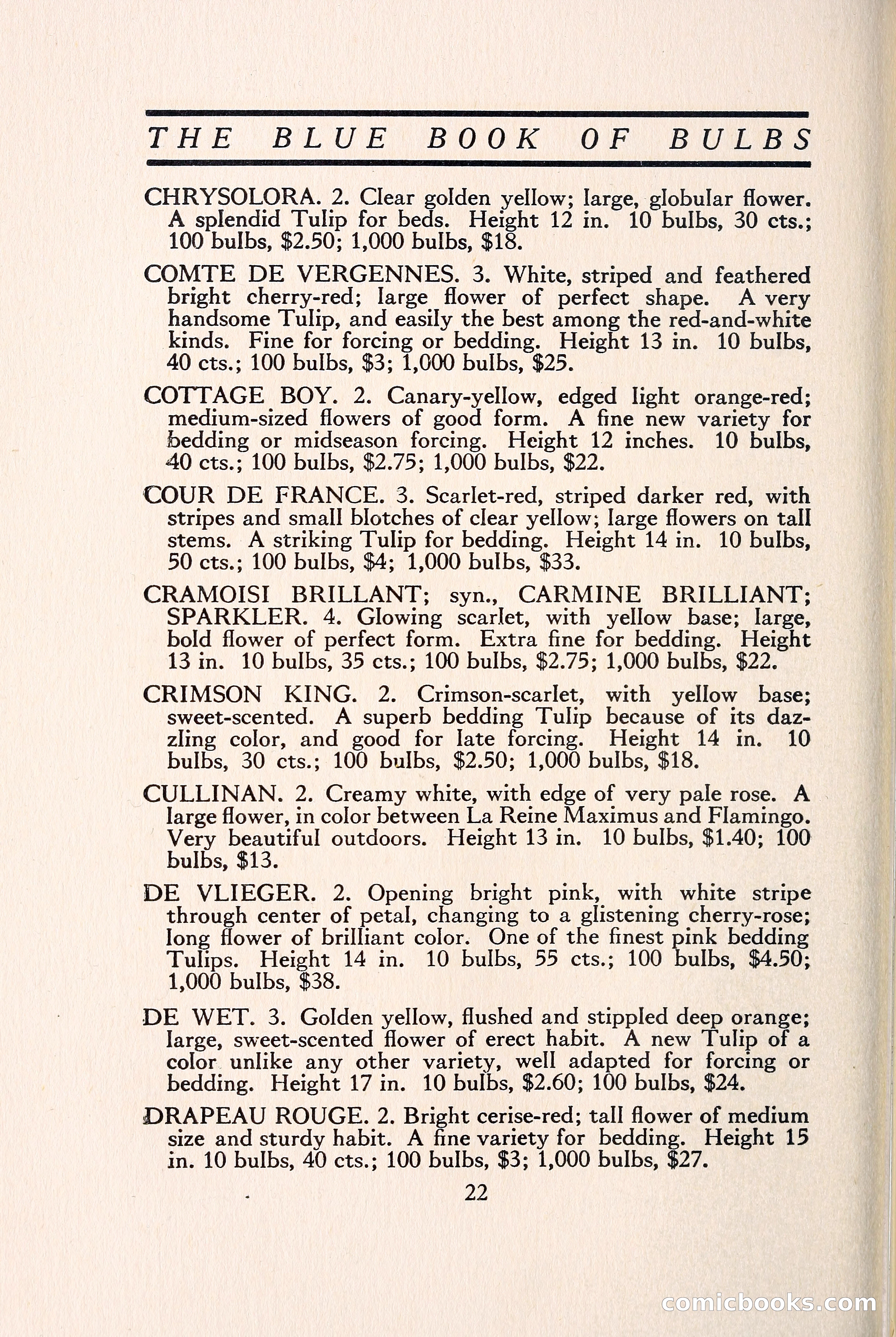 Blue Book of Bulbs — page 29 of 109