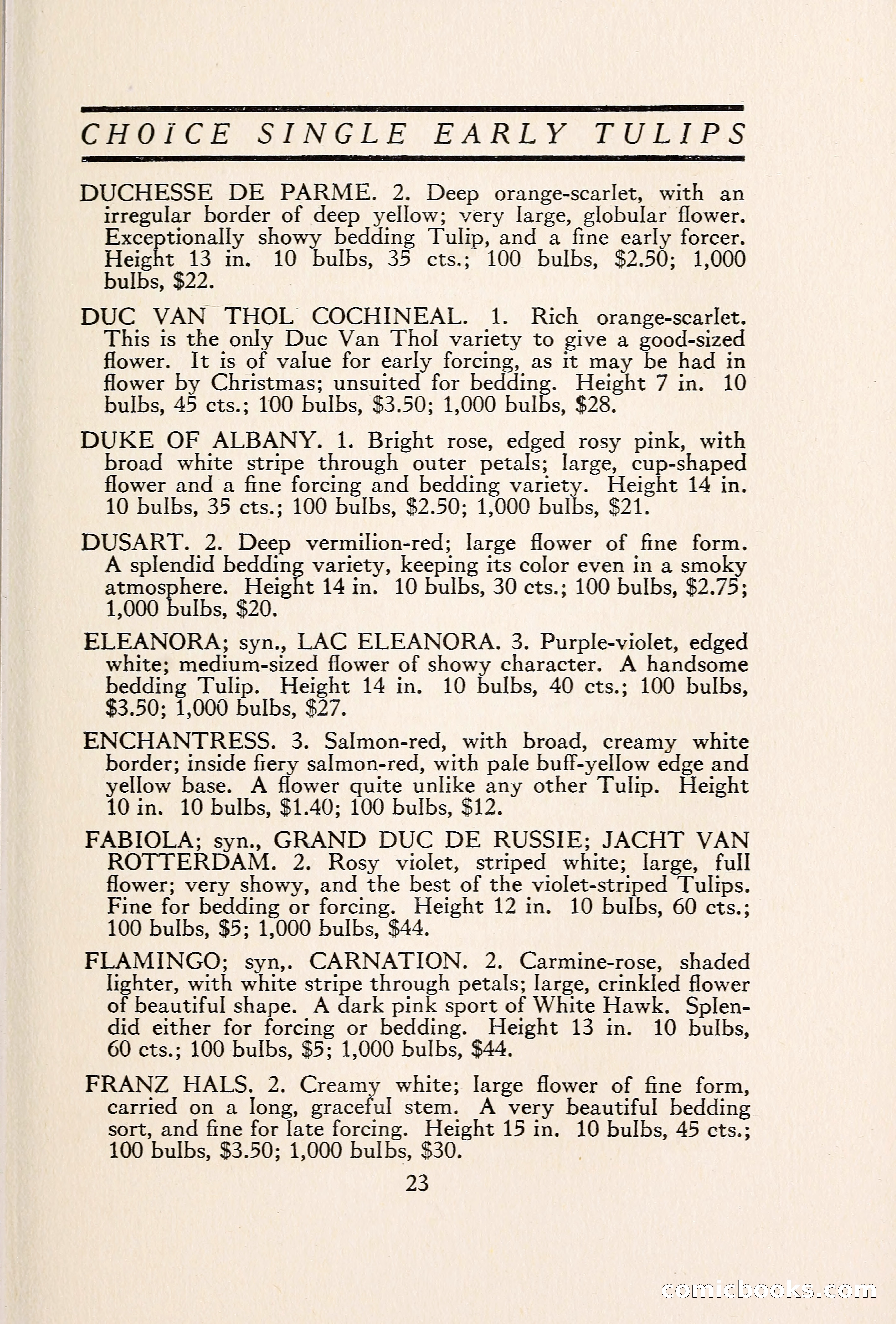 Blue Book of Bulbs — page 30 of 109