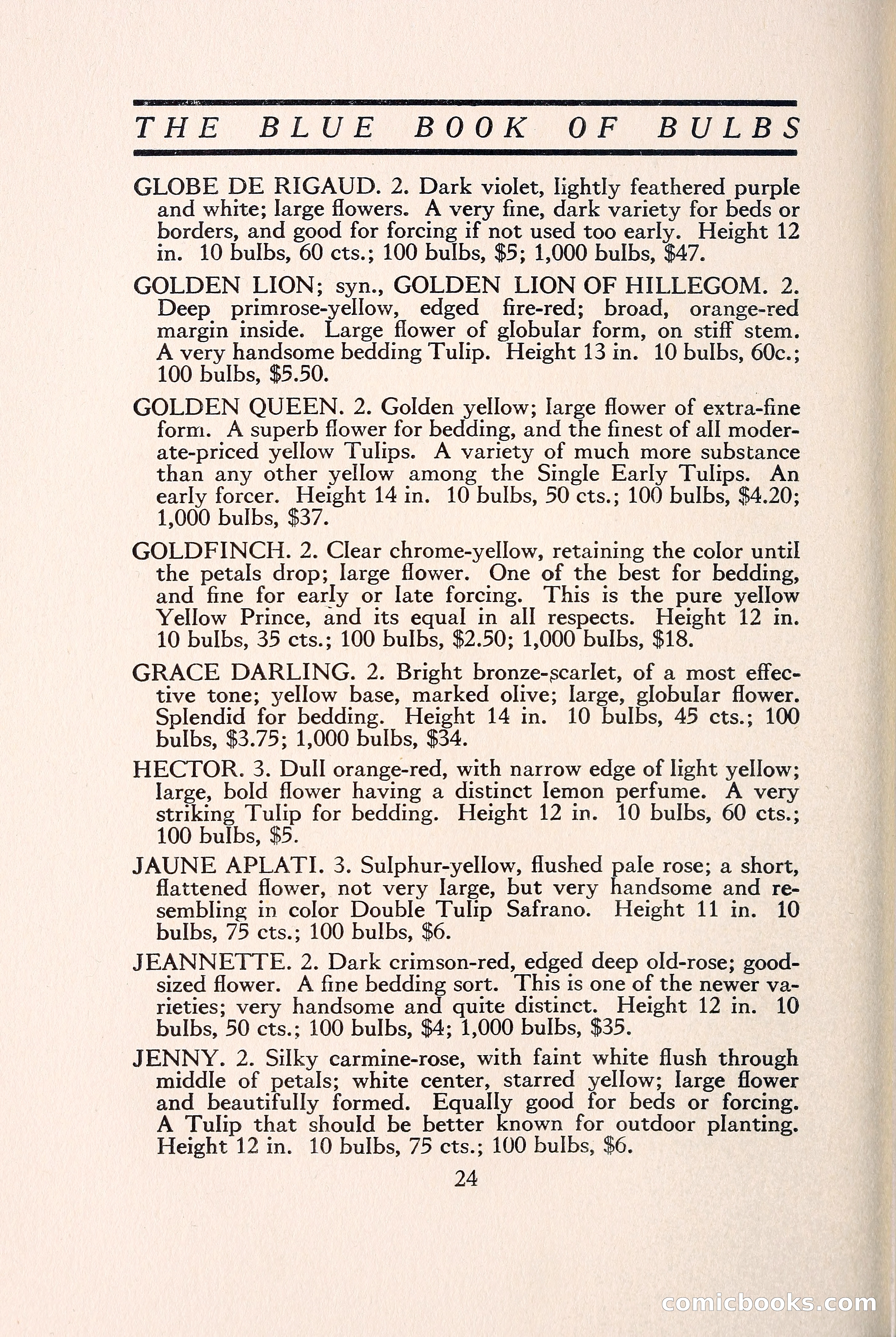 Blue Book of Bulbs — page 31 of 109
