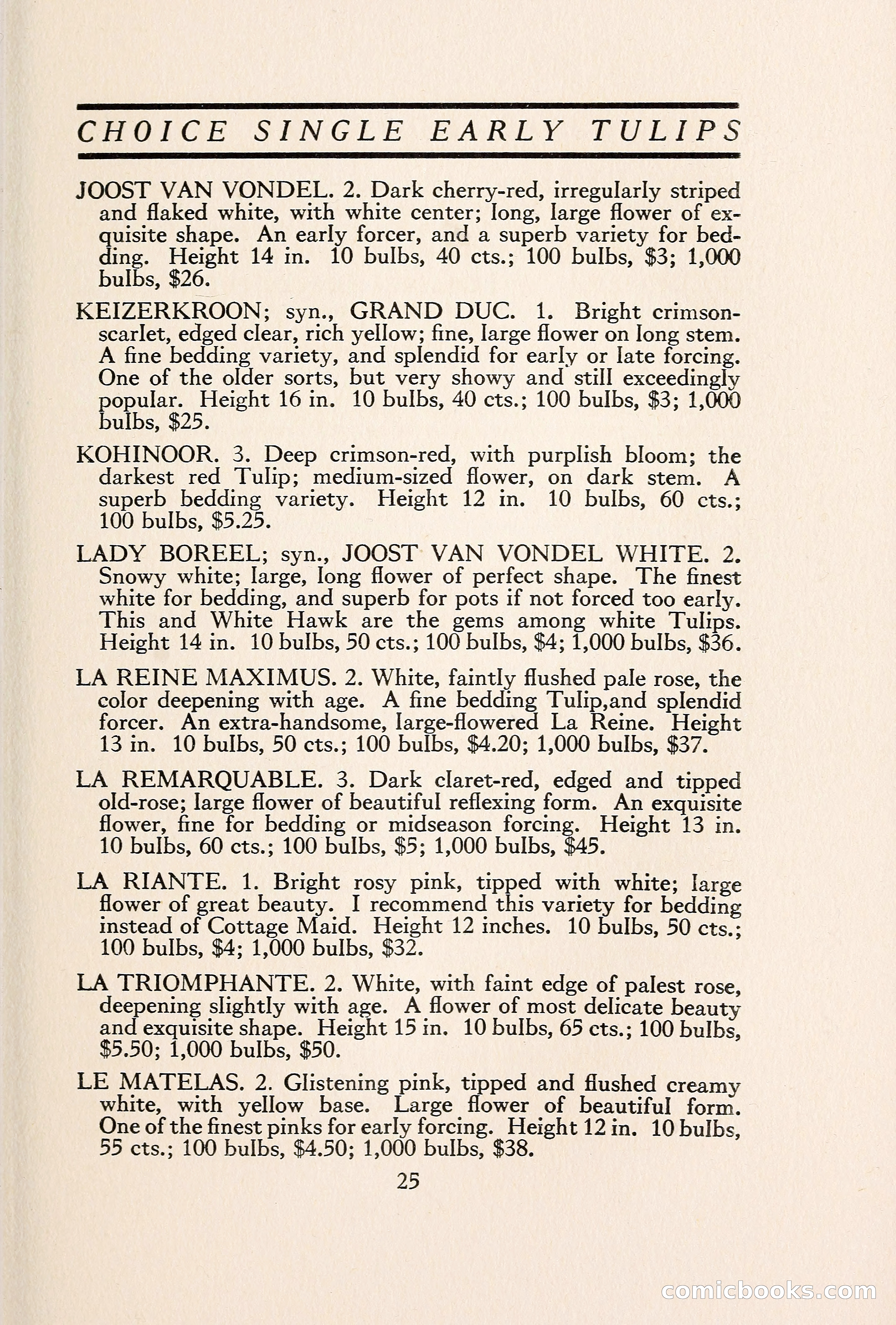 Blue Book of Bulbs — page 32 of 109