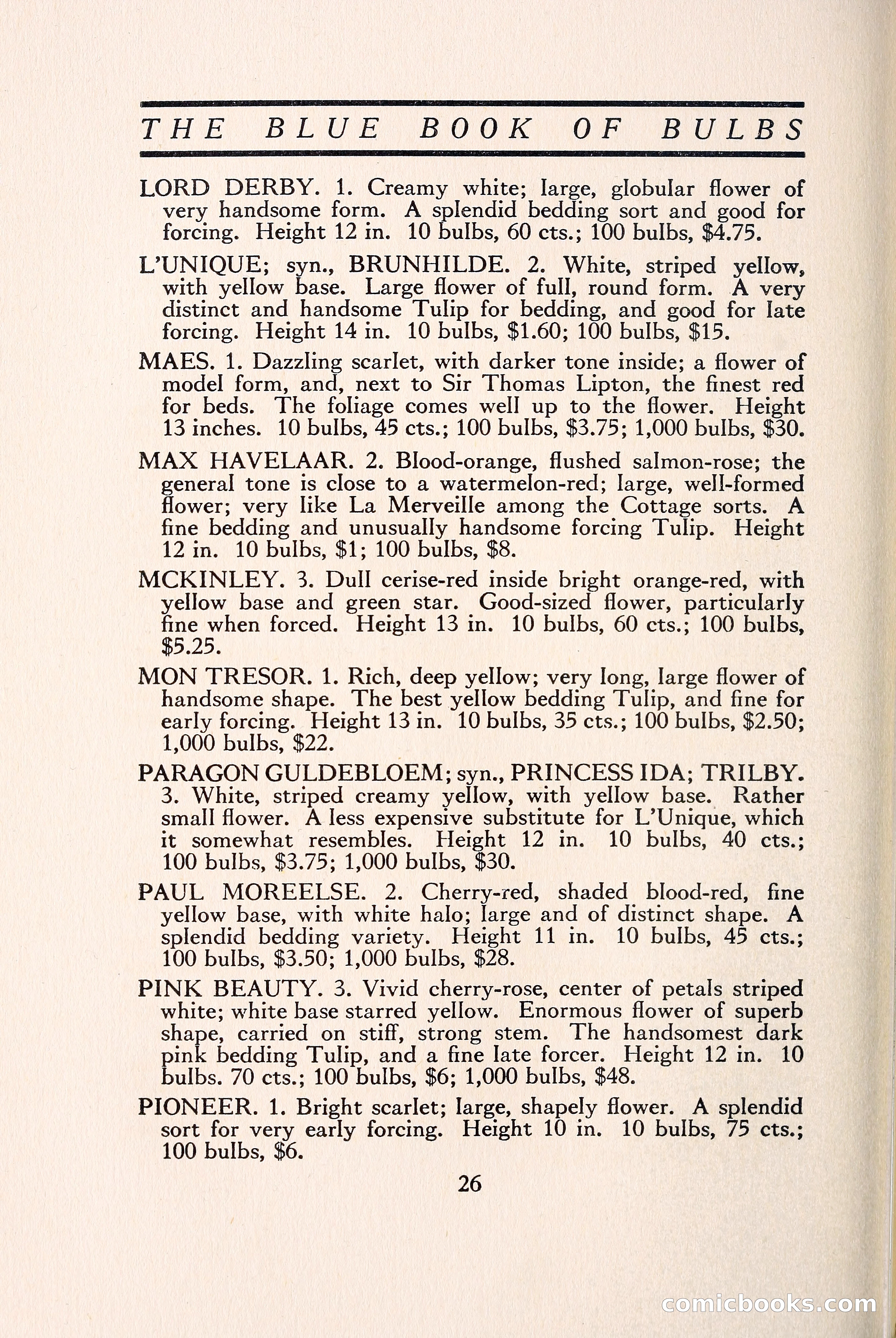 Blue Book of Bulbs — page 33 of 109