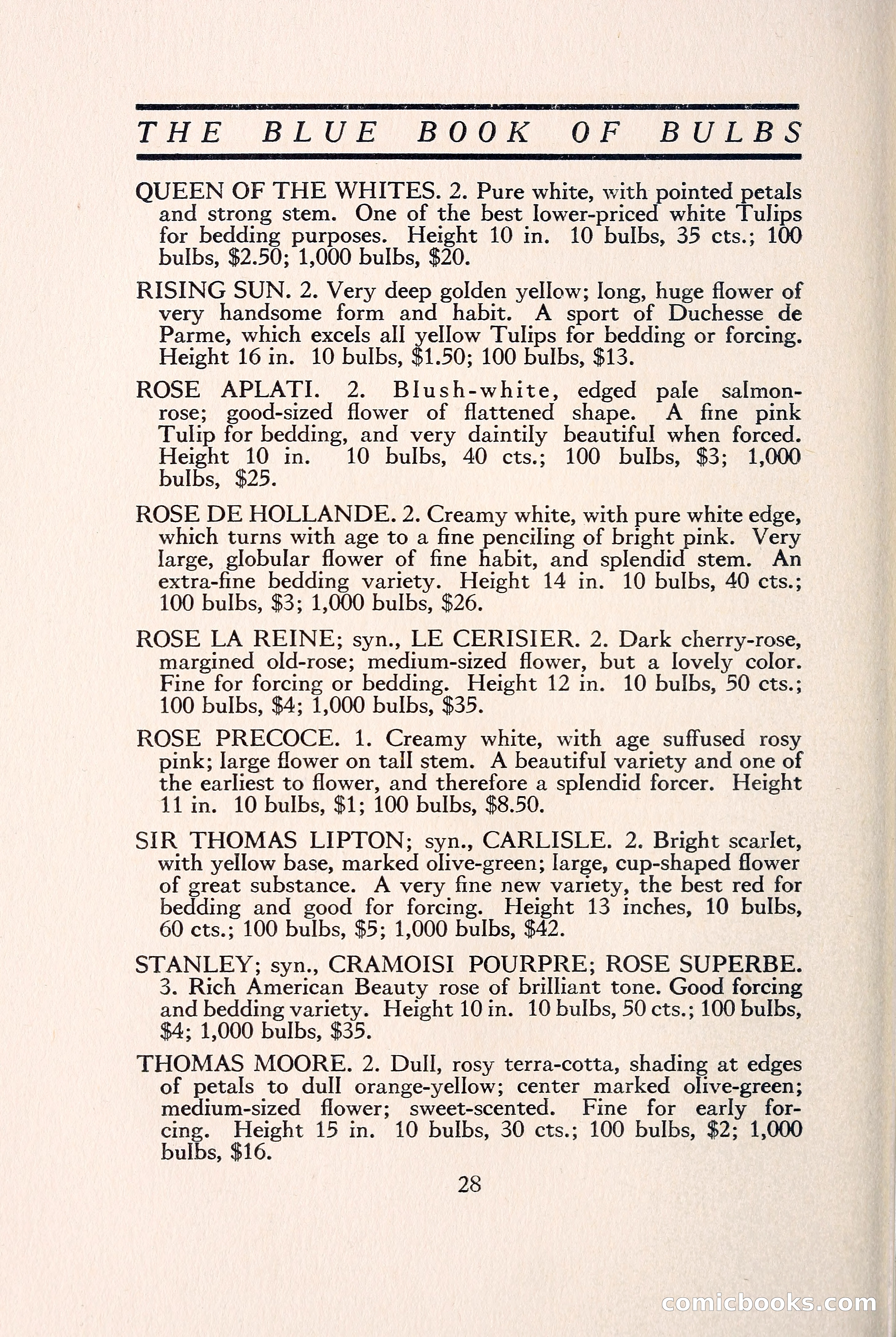 Blue Book of Bulbs — page 35 of 109