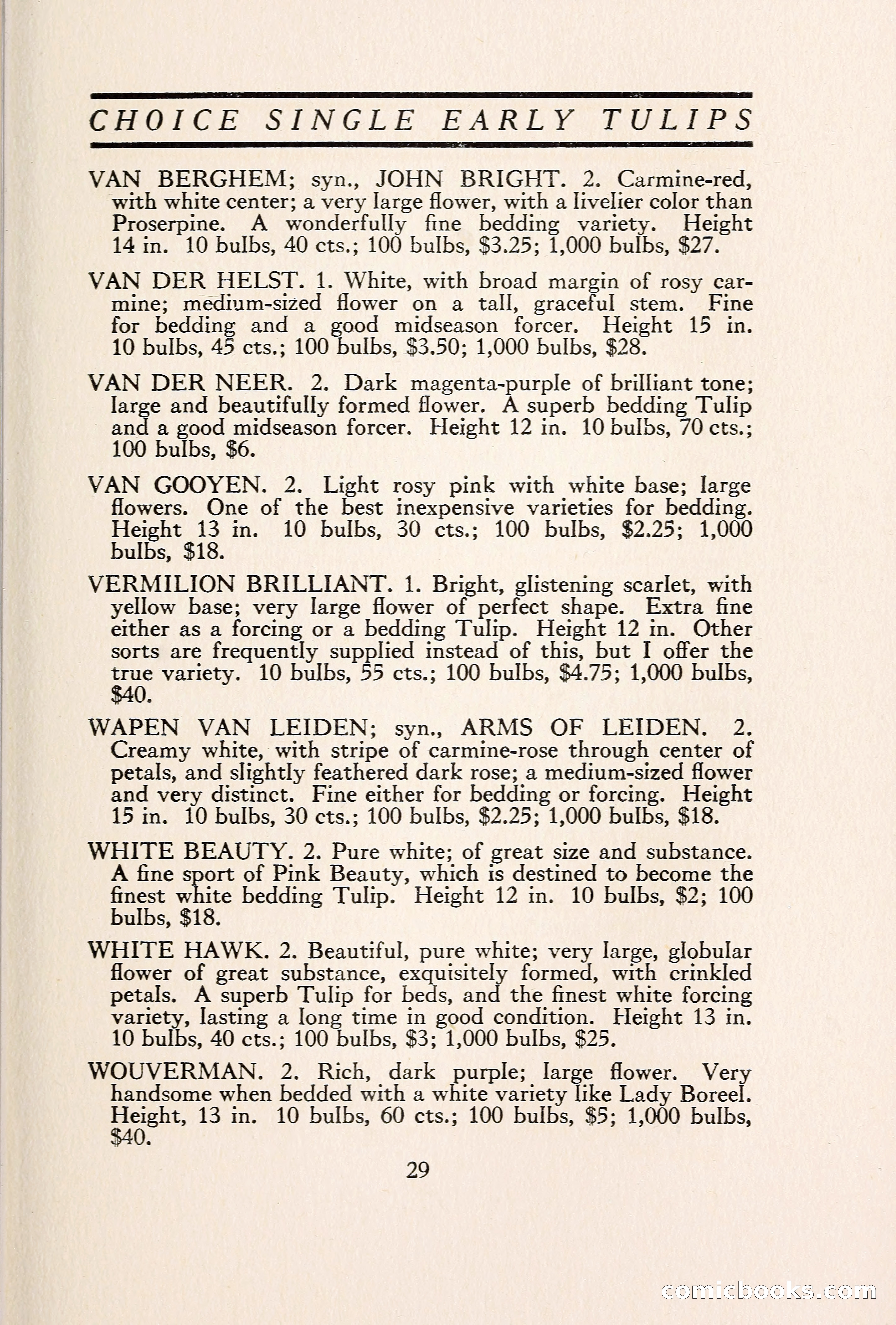 Blue Book of Bulbs — page 36 of 109