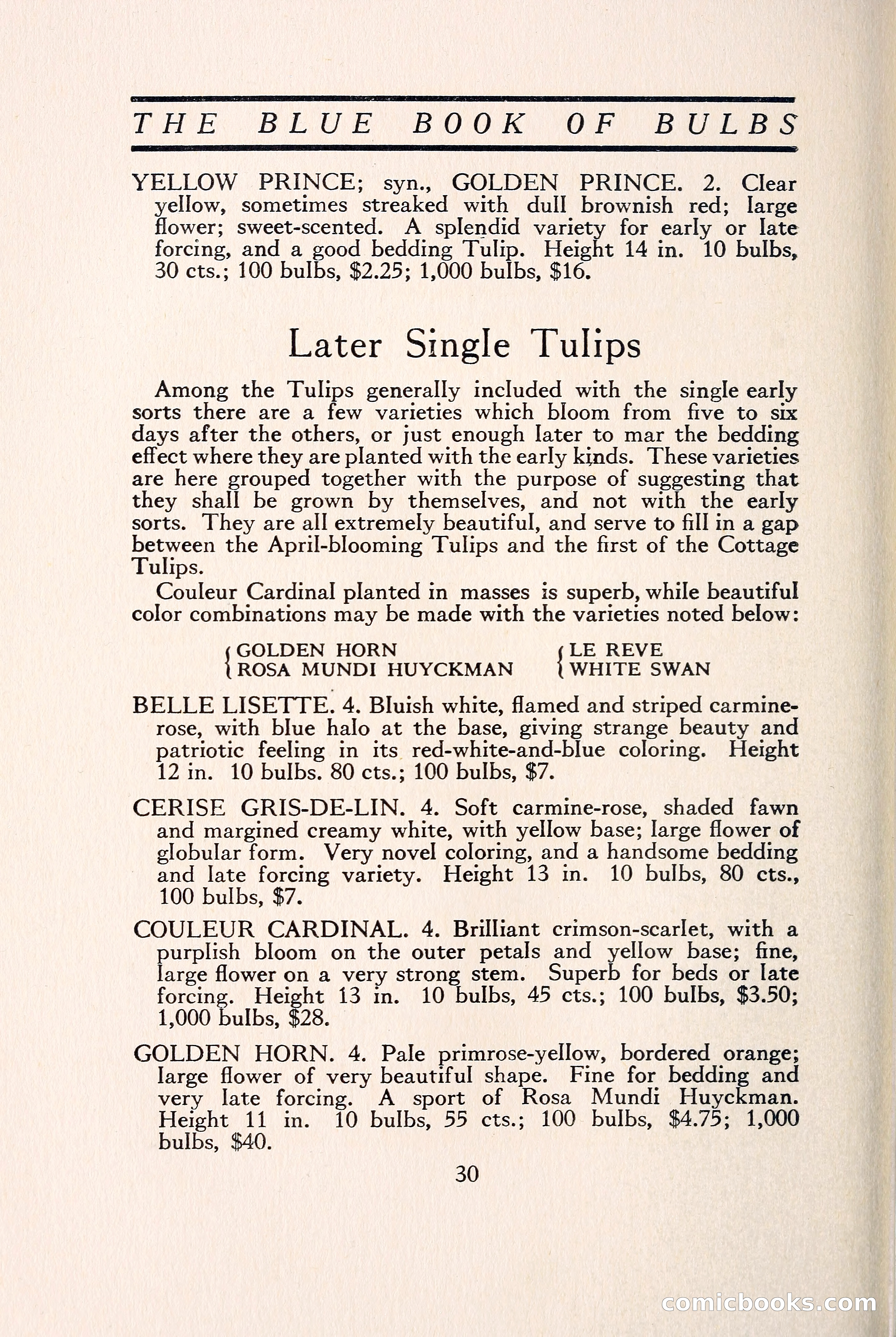 Blue Book of Bulbs — page 37 of 109
