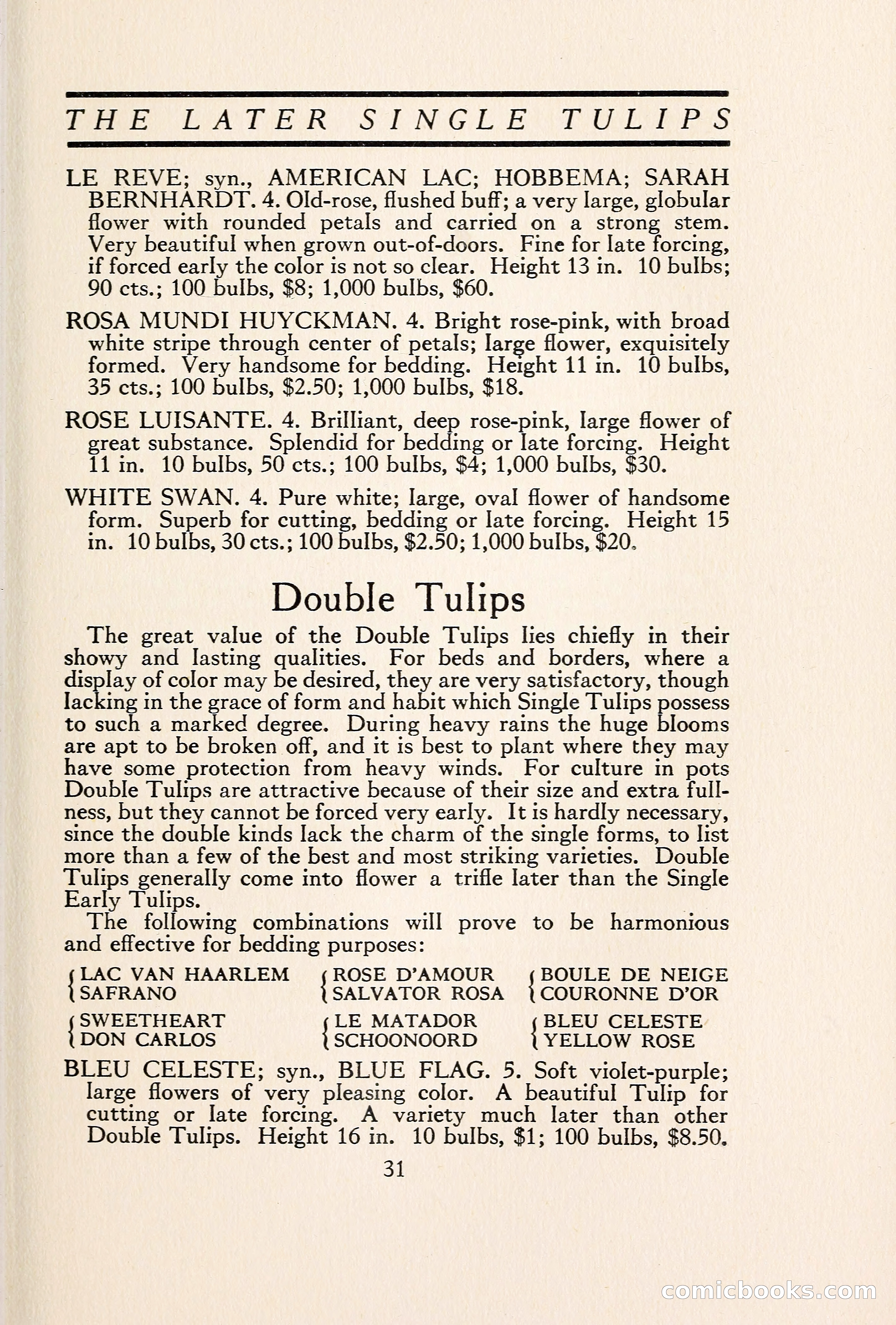 Blue Book of Bulbs — page 38 of 109