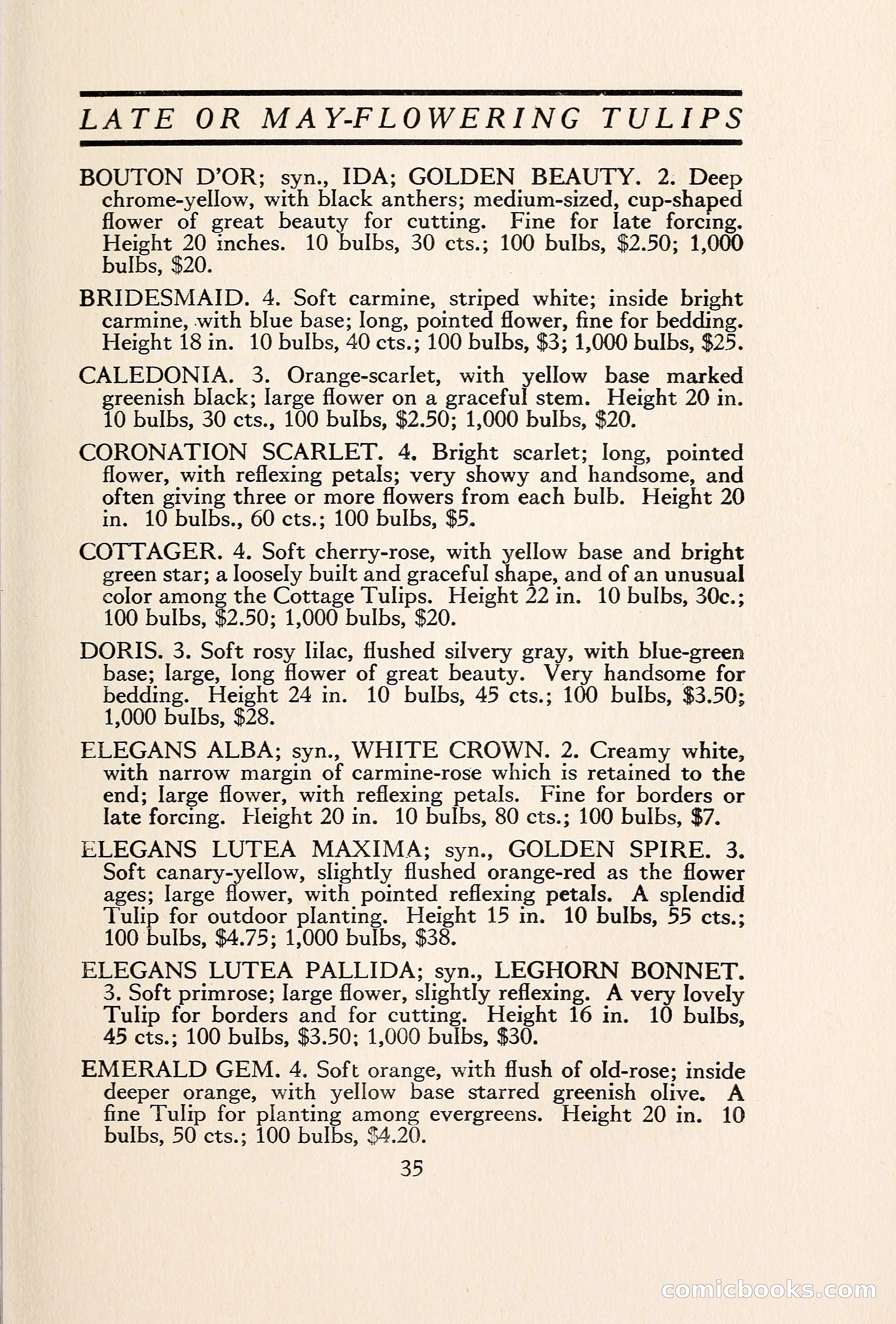 Blue Book of Bulbs — page 42 of 109