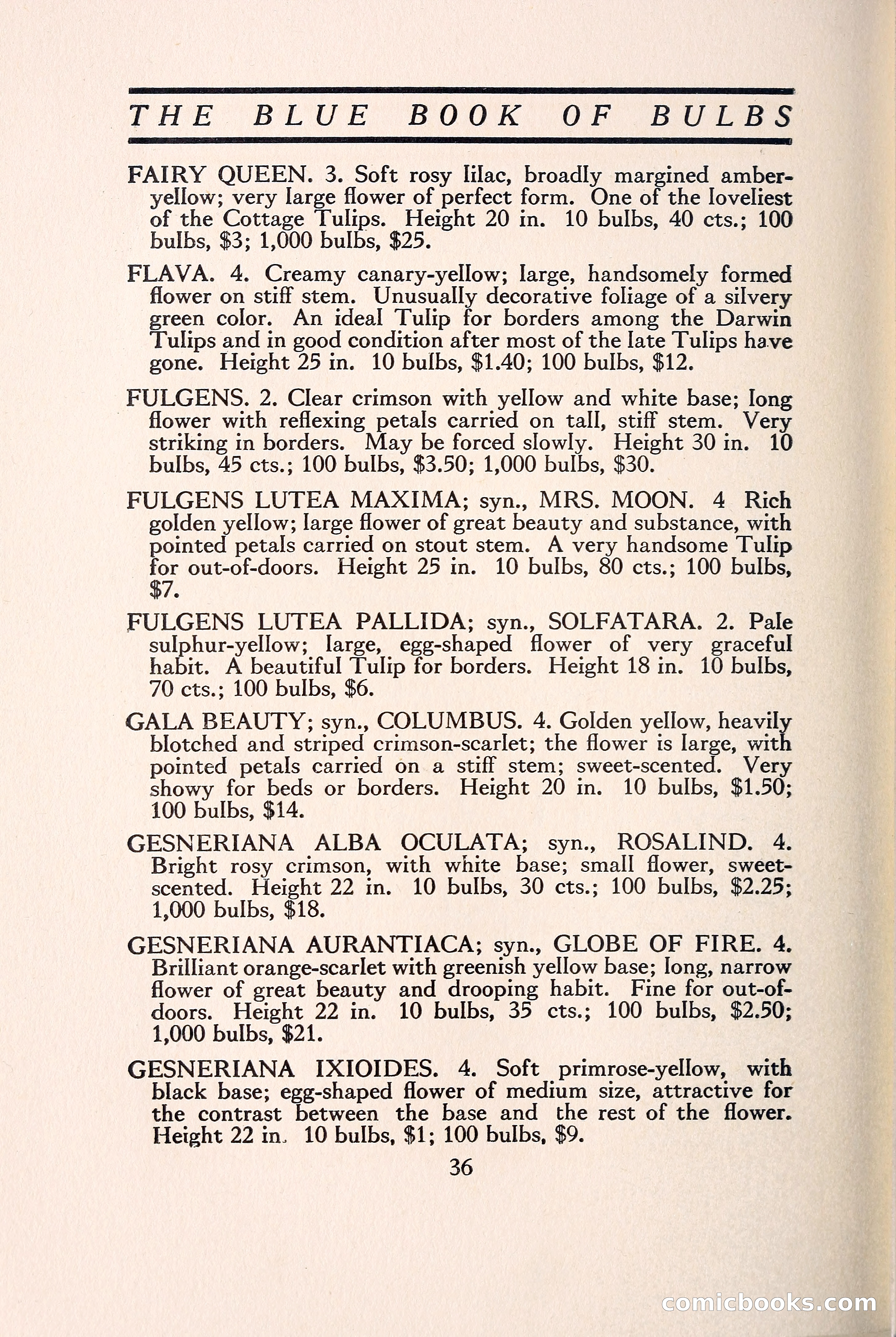 Blue Book of Bulbs — page 43 of 109