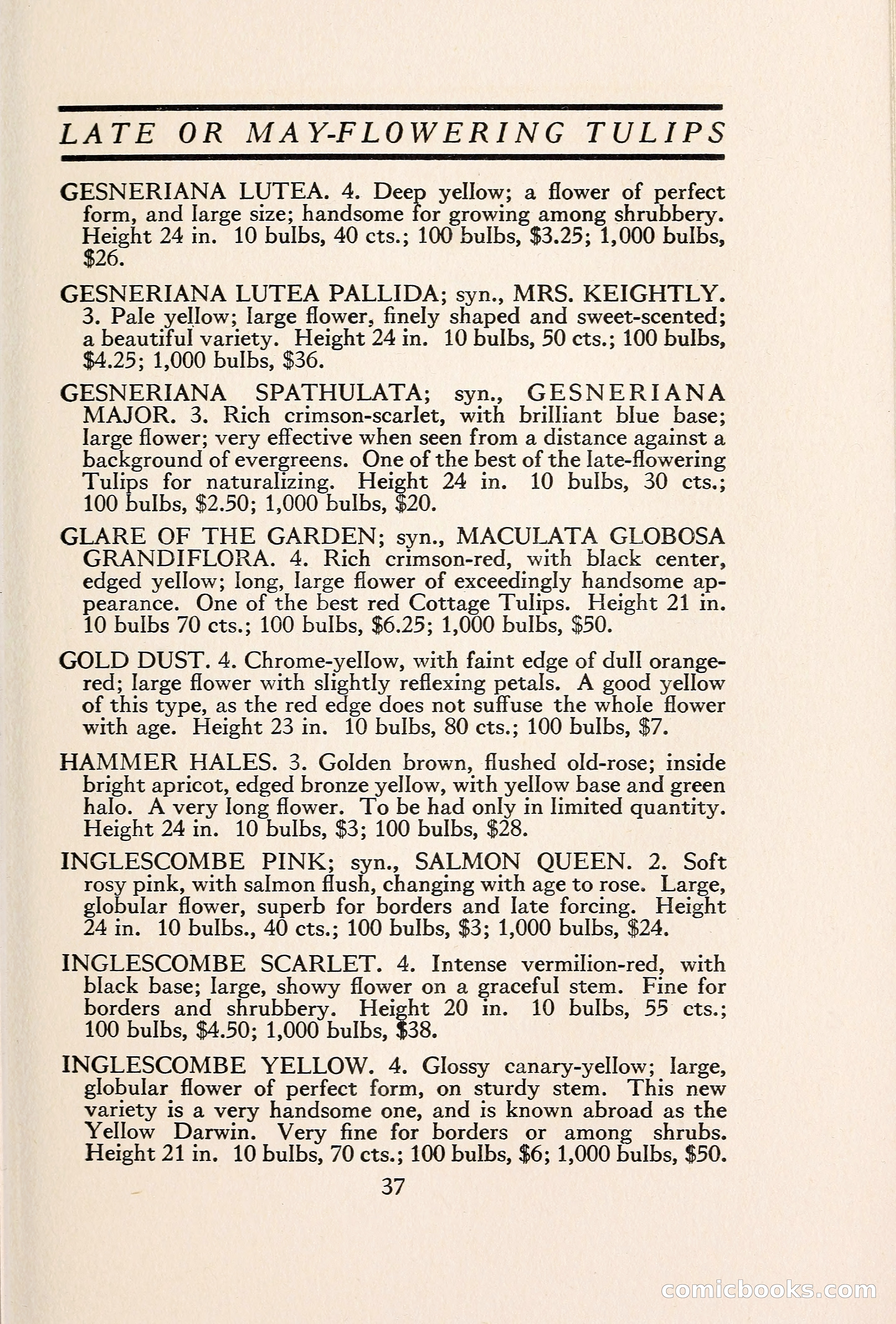 Blue Book of Bulbs — page 44 of 109