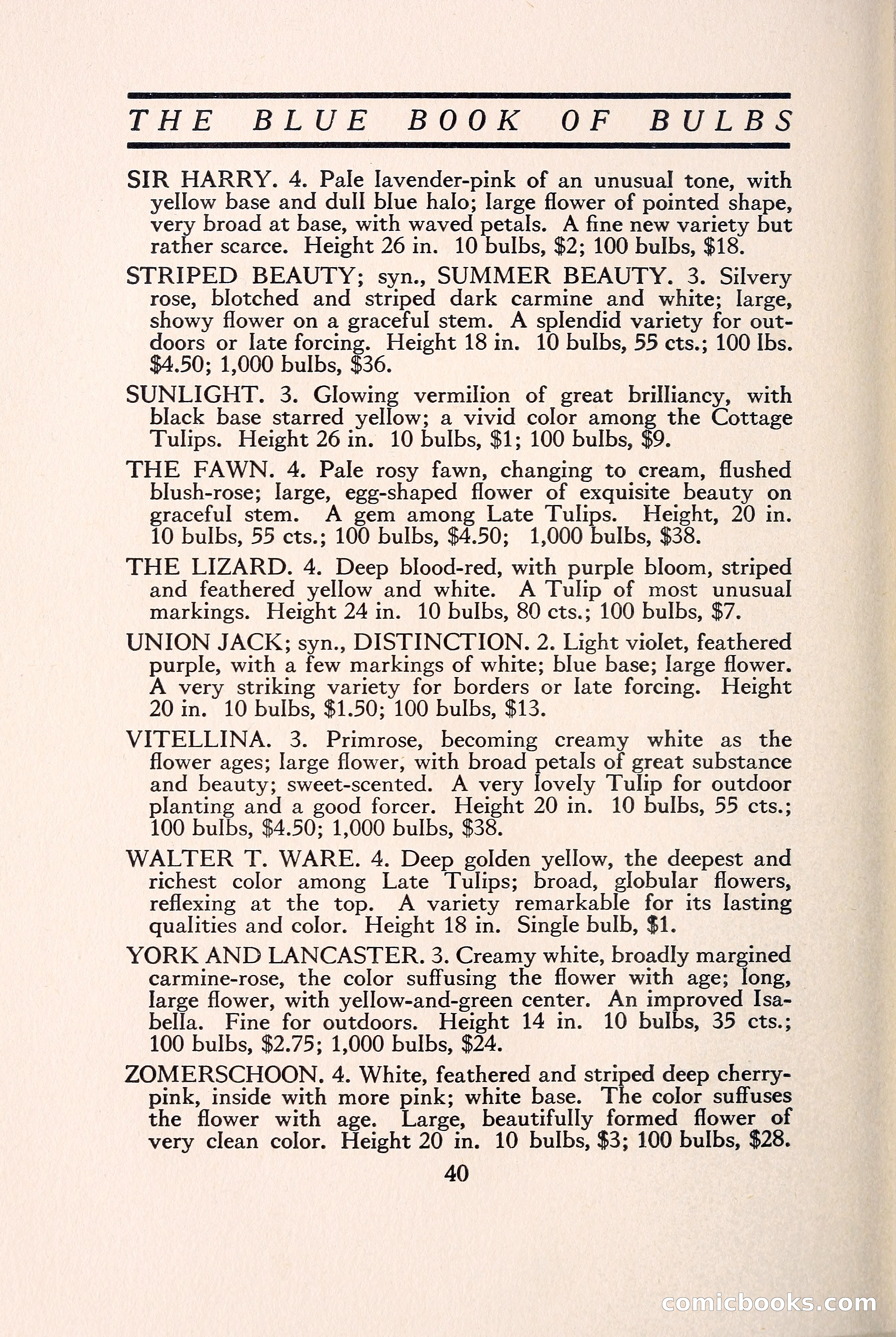 Blue Book of Bulbs — page 47 of 109