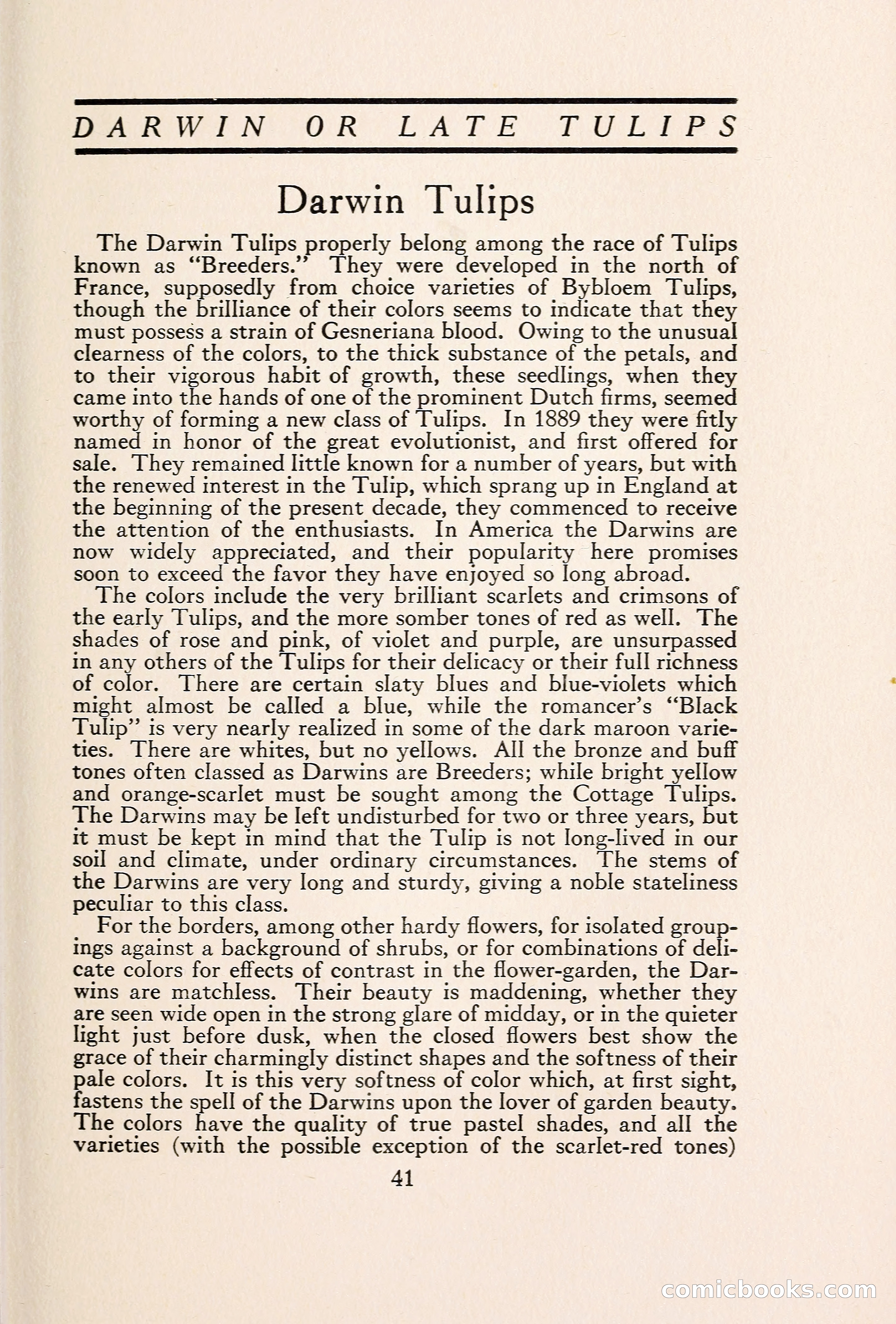 Blue Book of Bulbs — page 48 of 109