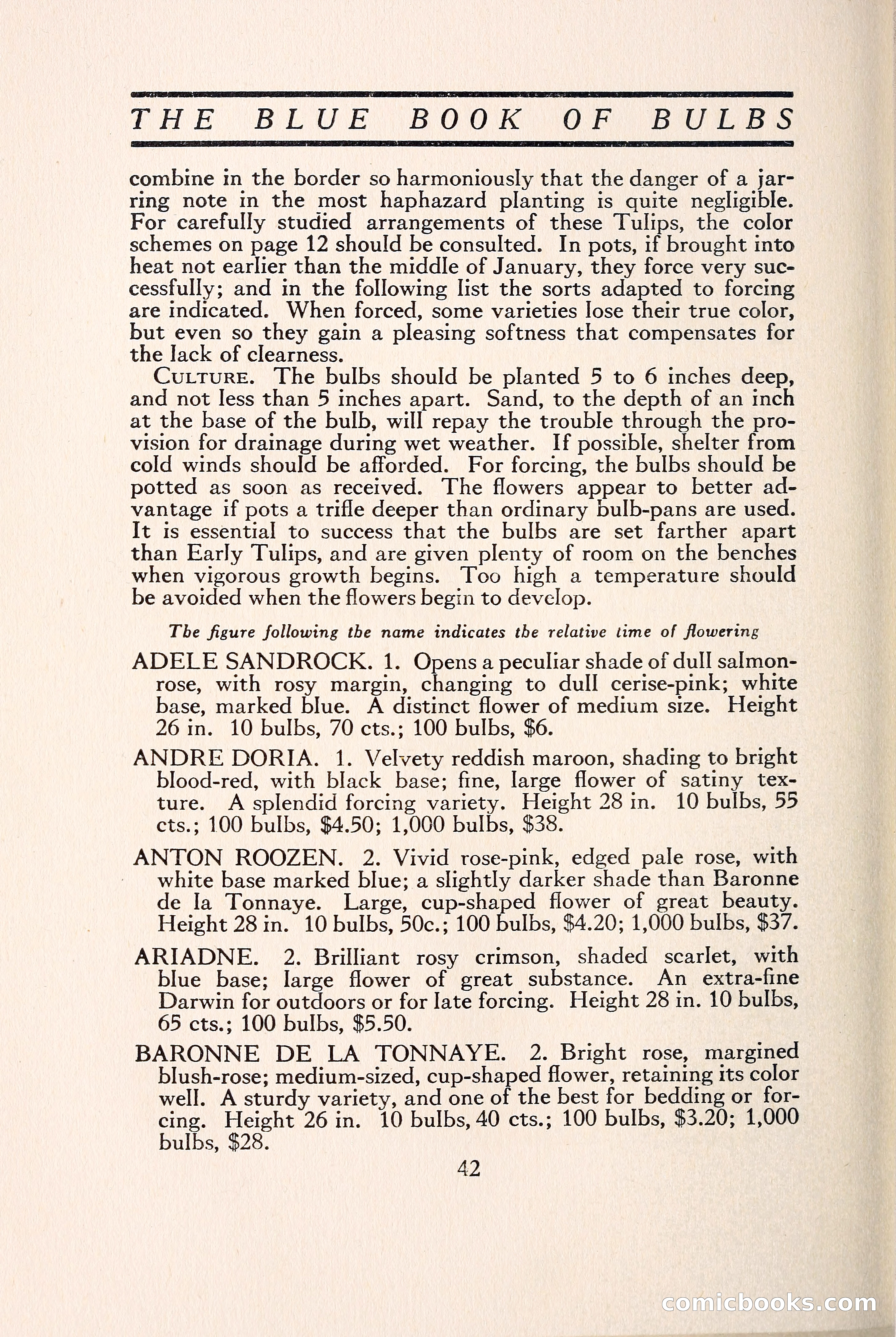 Blue Book of Bulbs — page 49 of 109