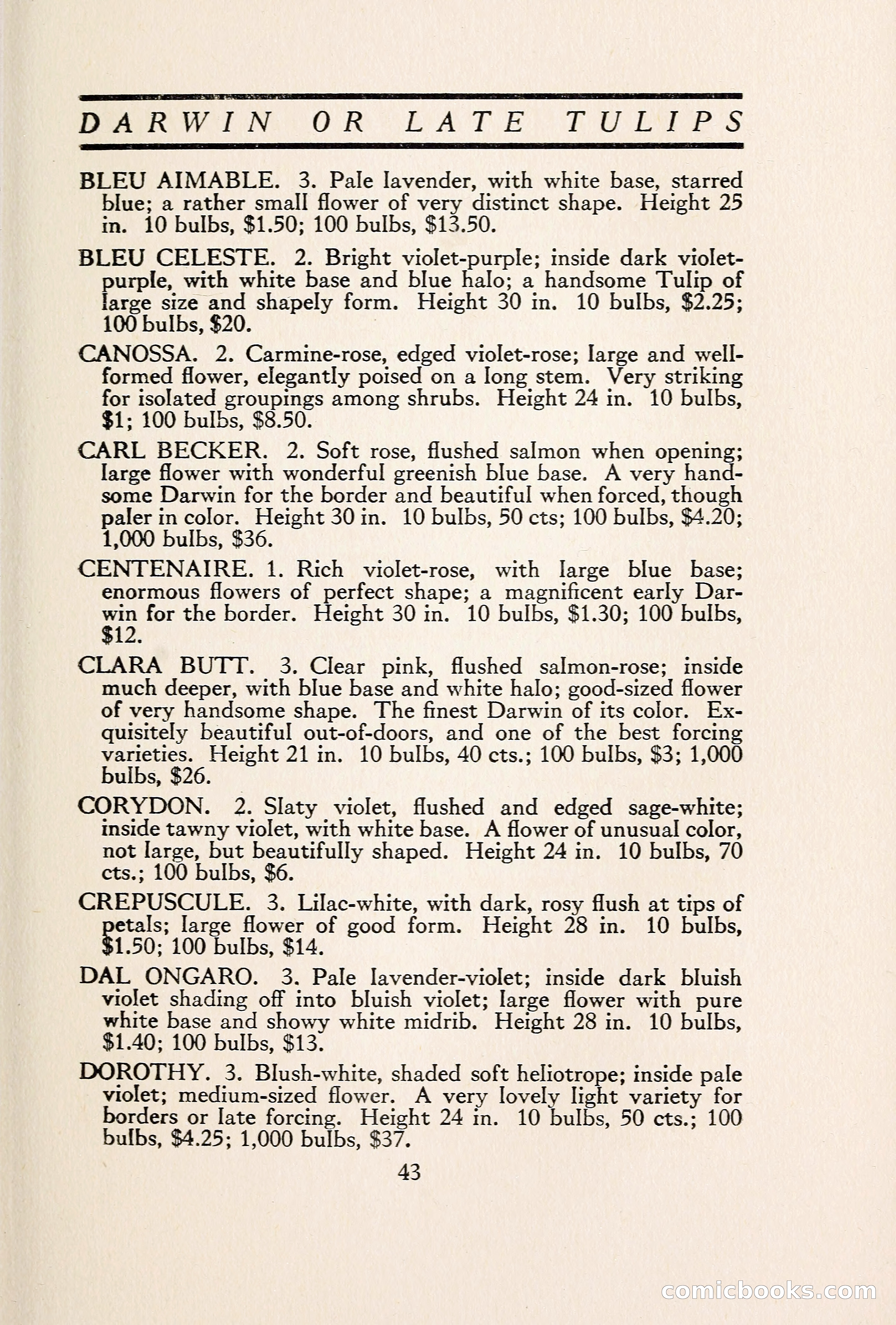 Blue Book of Bulbs — page 50 of 109