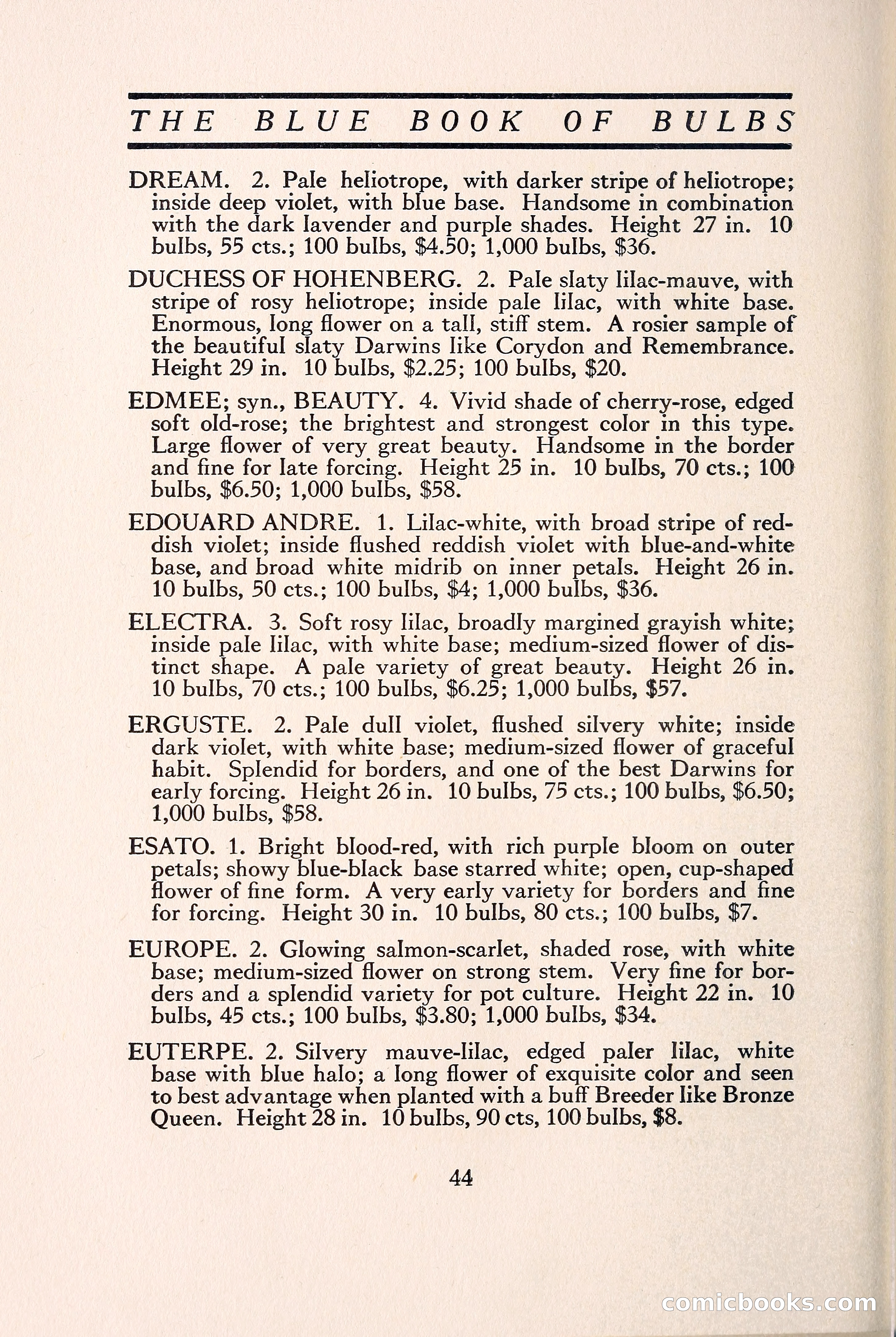 Blue Book of Bulbs — page 51 of 109