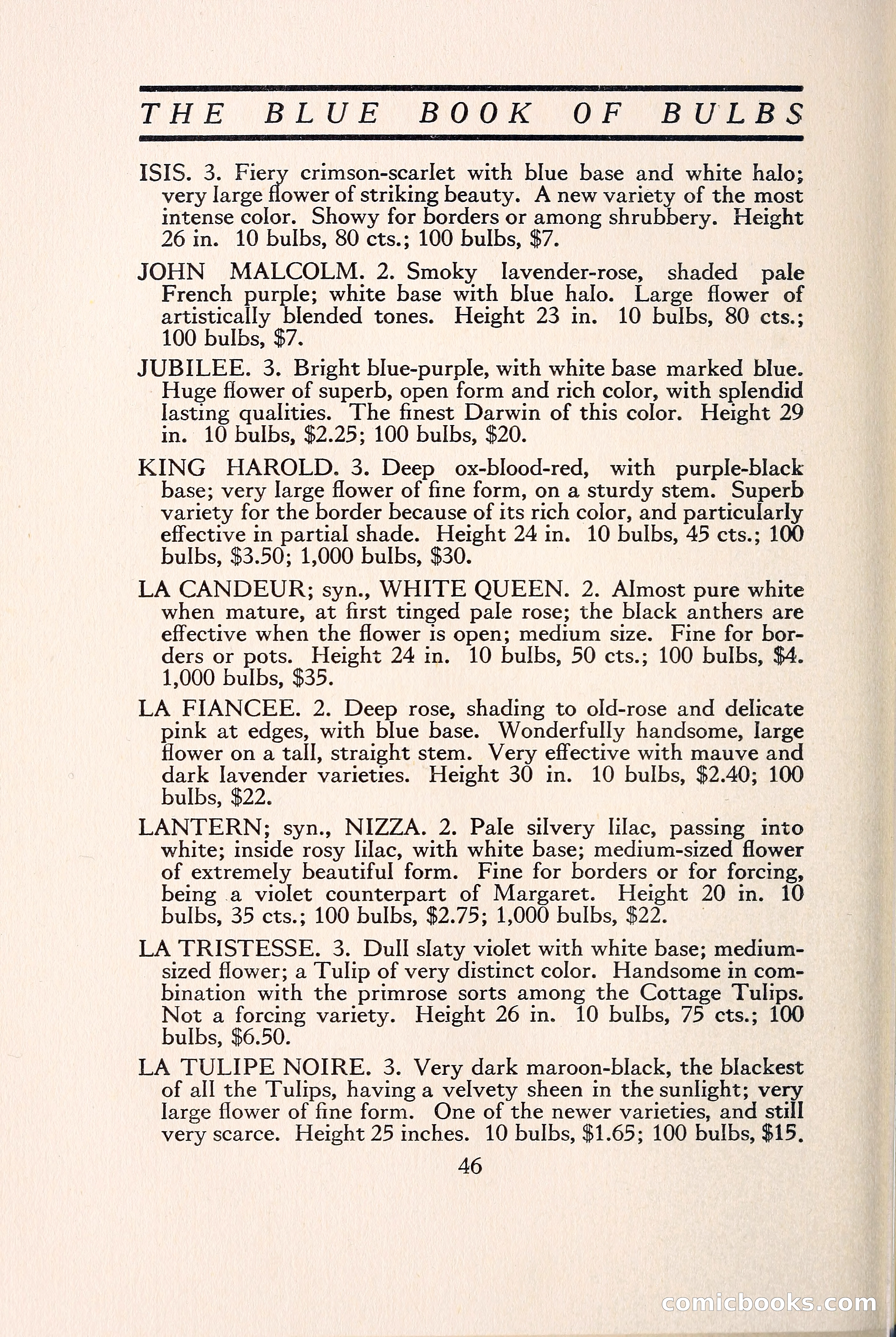 Blue Book of Bulbs — page 53 of 109