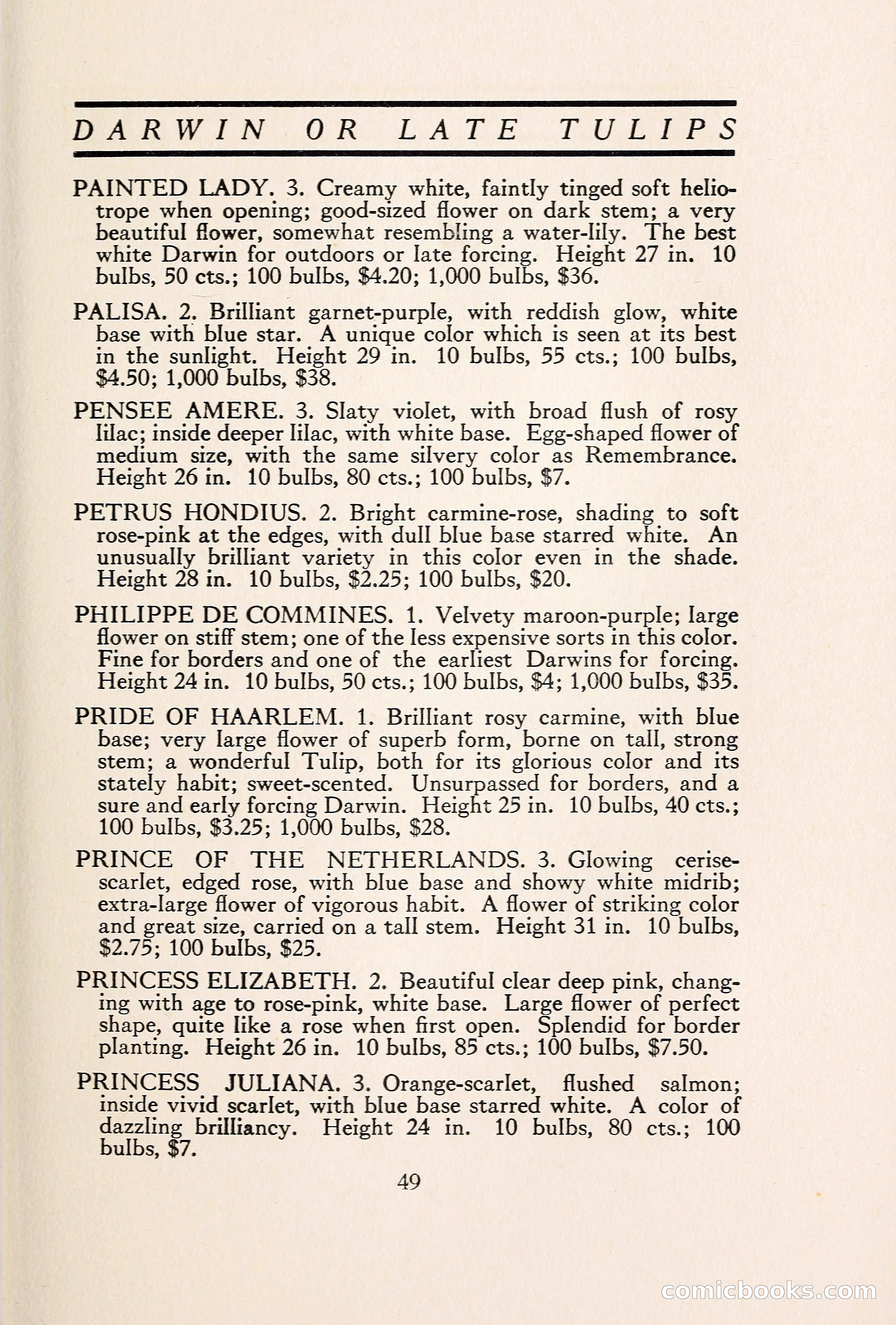 Blue Book of Bulbs — page 56 of 109