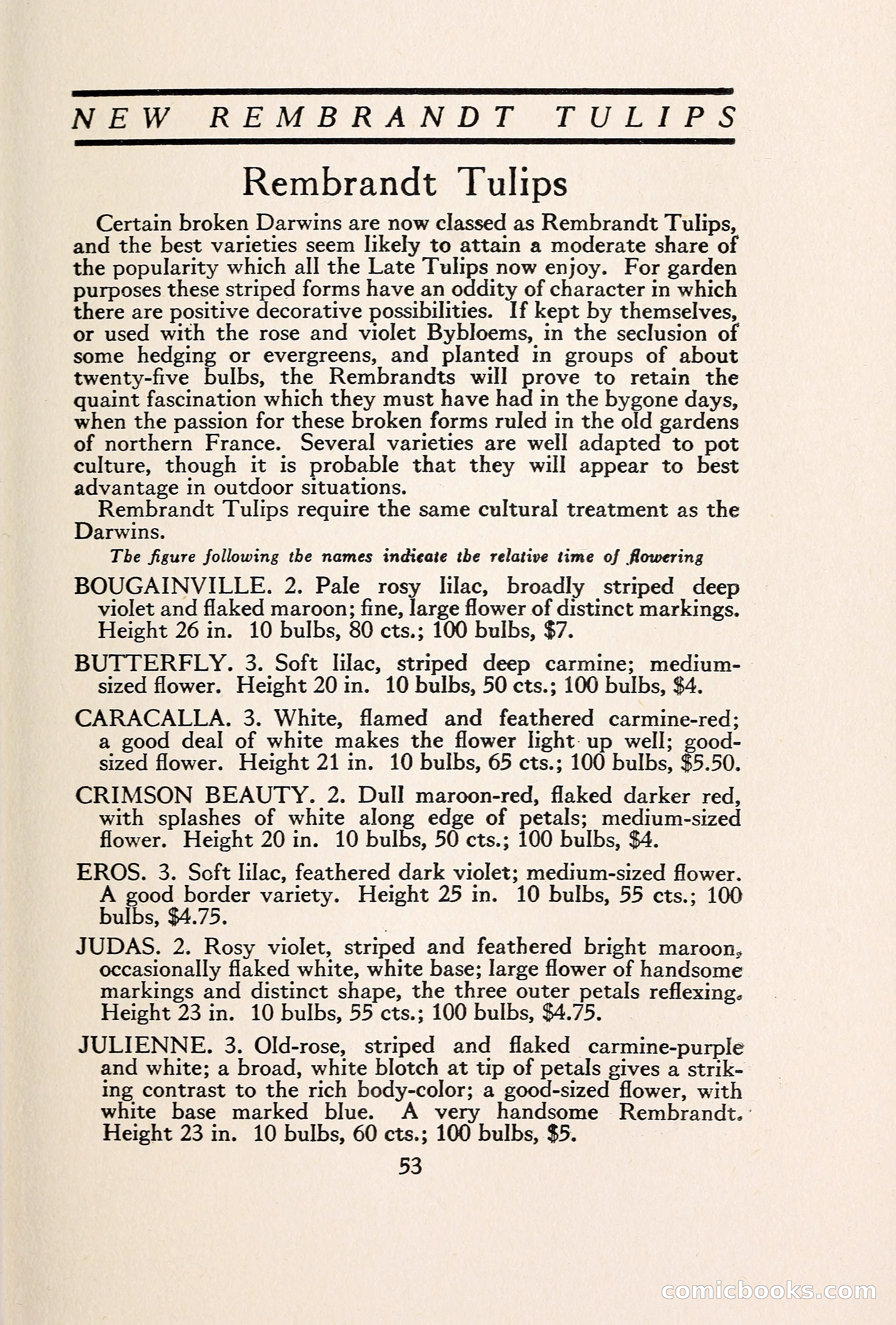 Blue Book of Bulbs — page 60 of 109