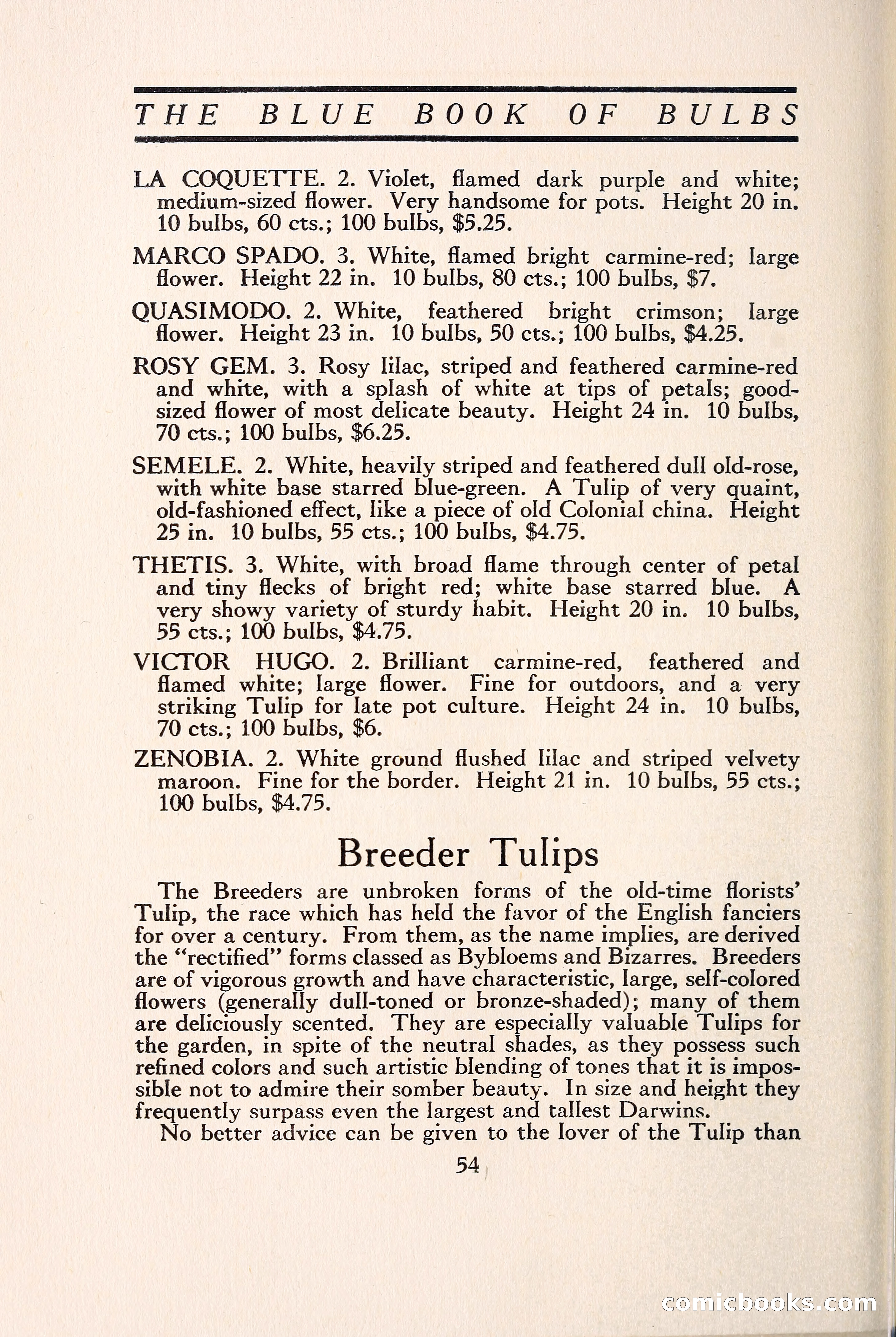 Blue Book of Bulbs — page 61 of 109