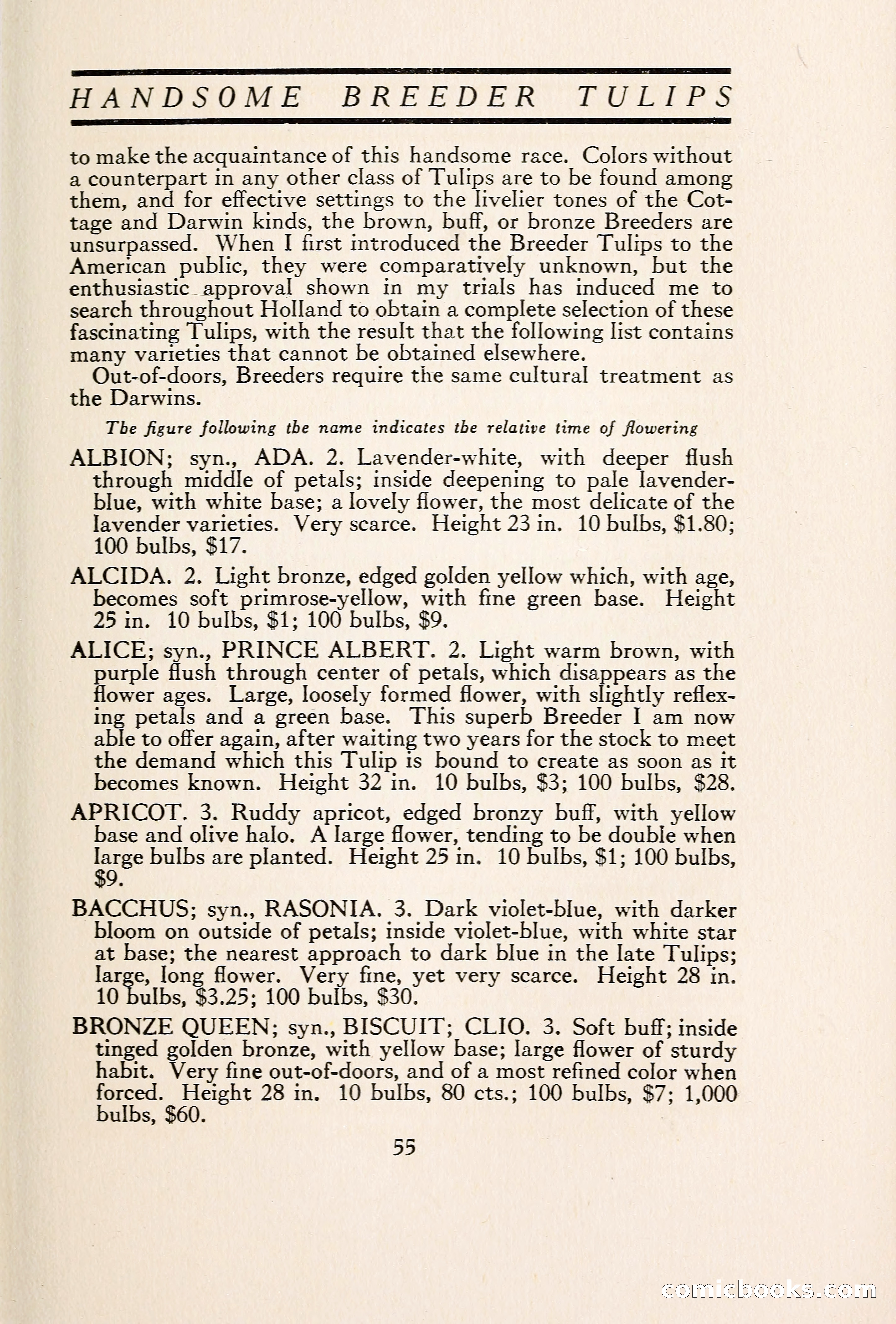 Blue Book of Bulbs — page 62 of 109