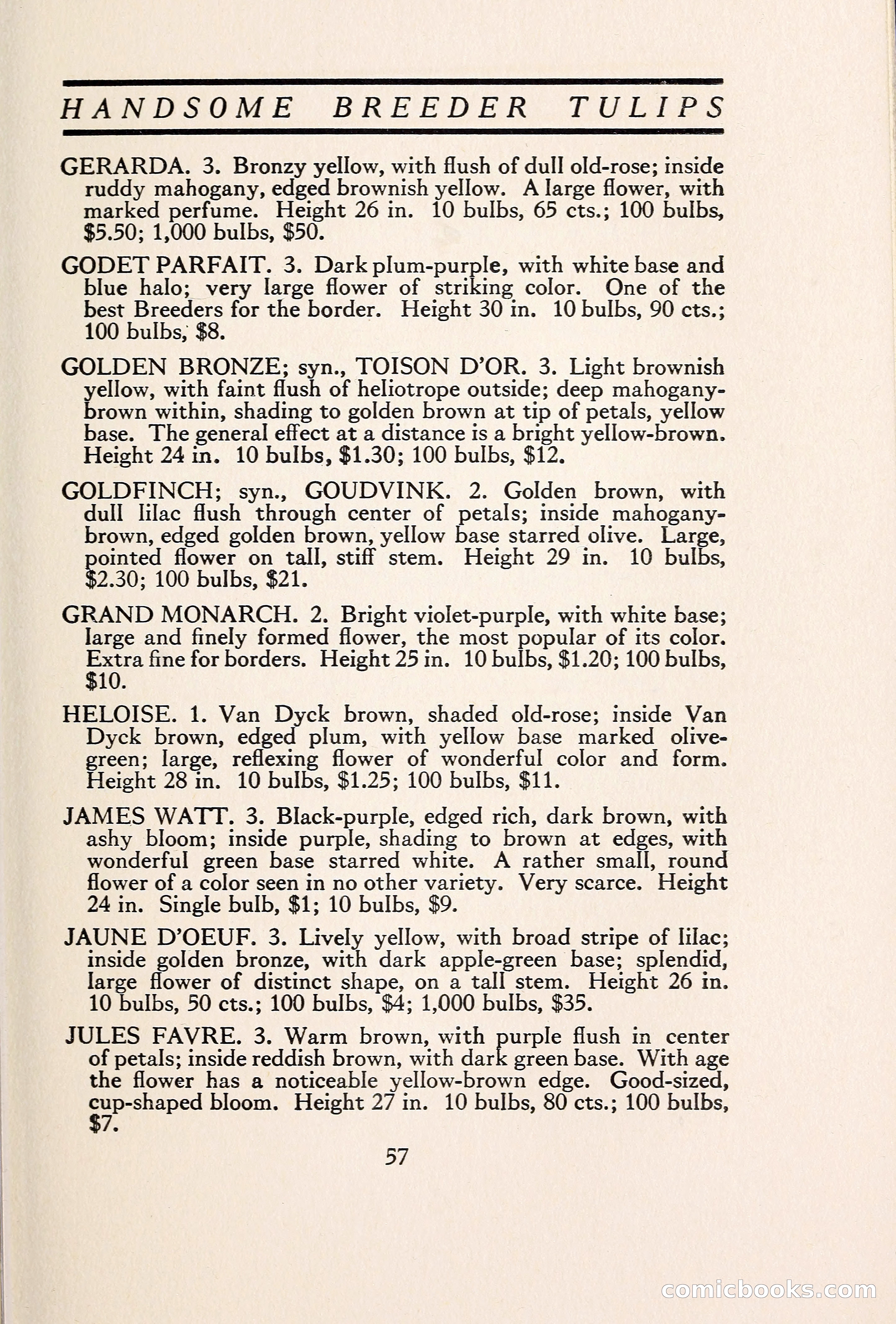 Blue Book of Bulbs — page 64 of 109