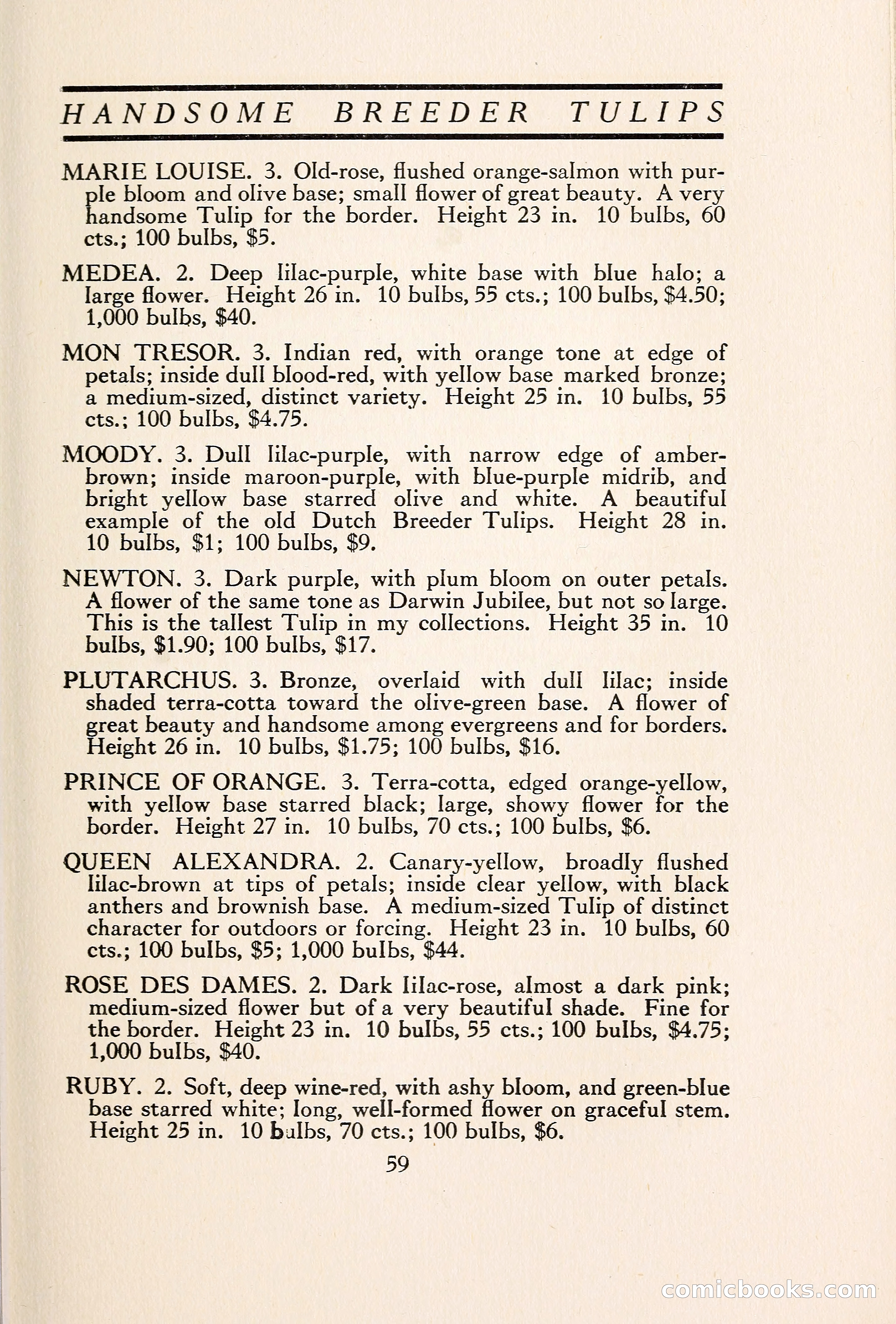 Blue Book of Bulbs — page 66 of 109
