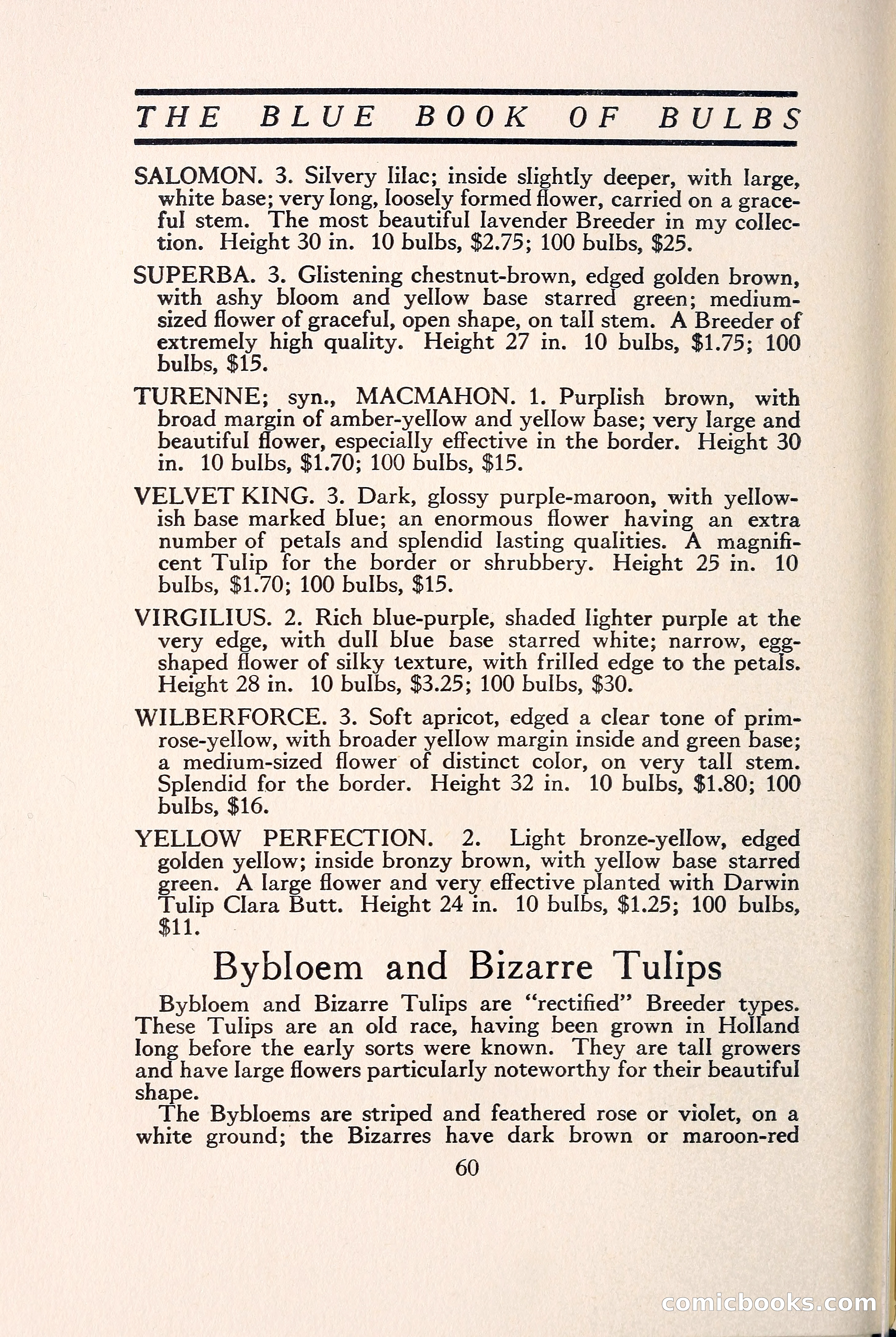 Blue Book of Bulbs — page 67 of 109