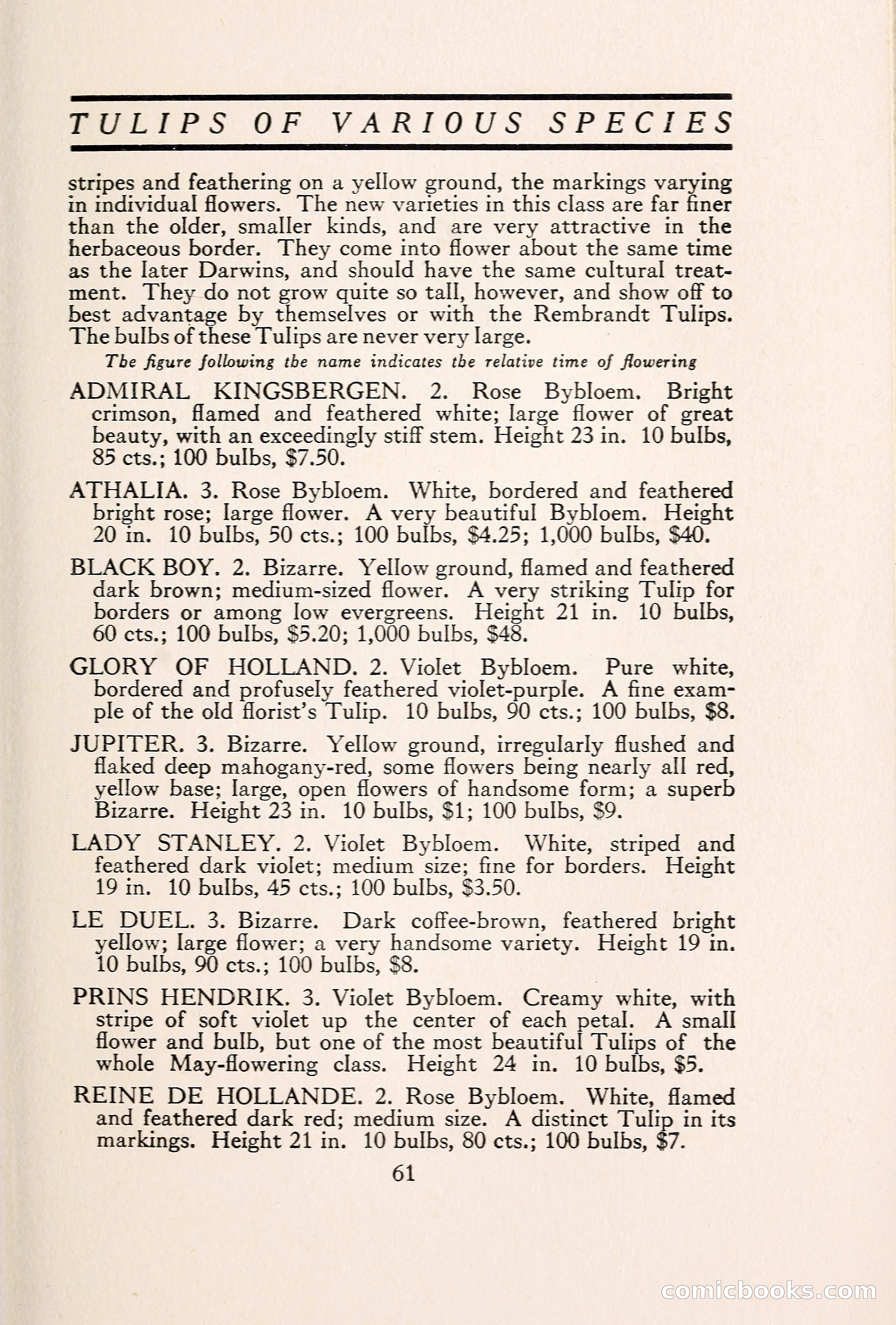 Blue Book of Bulbs — page 68 of 109