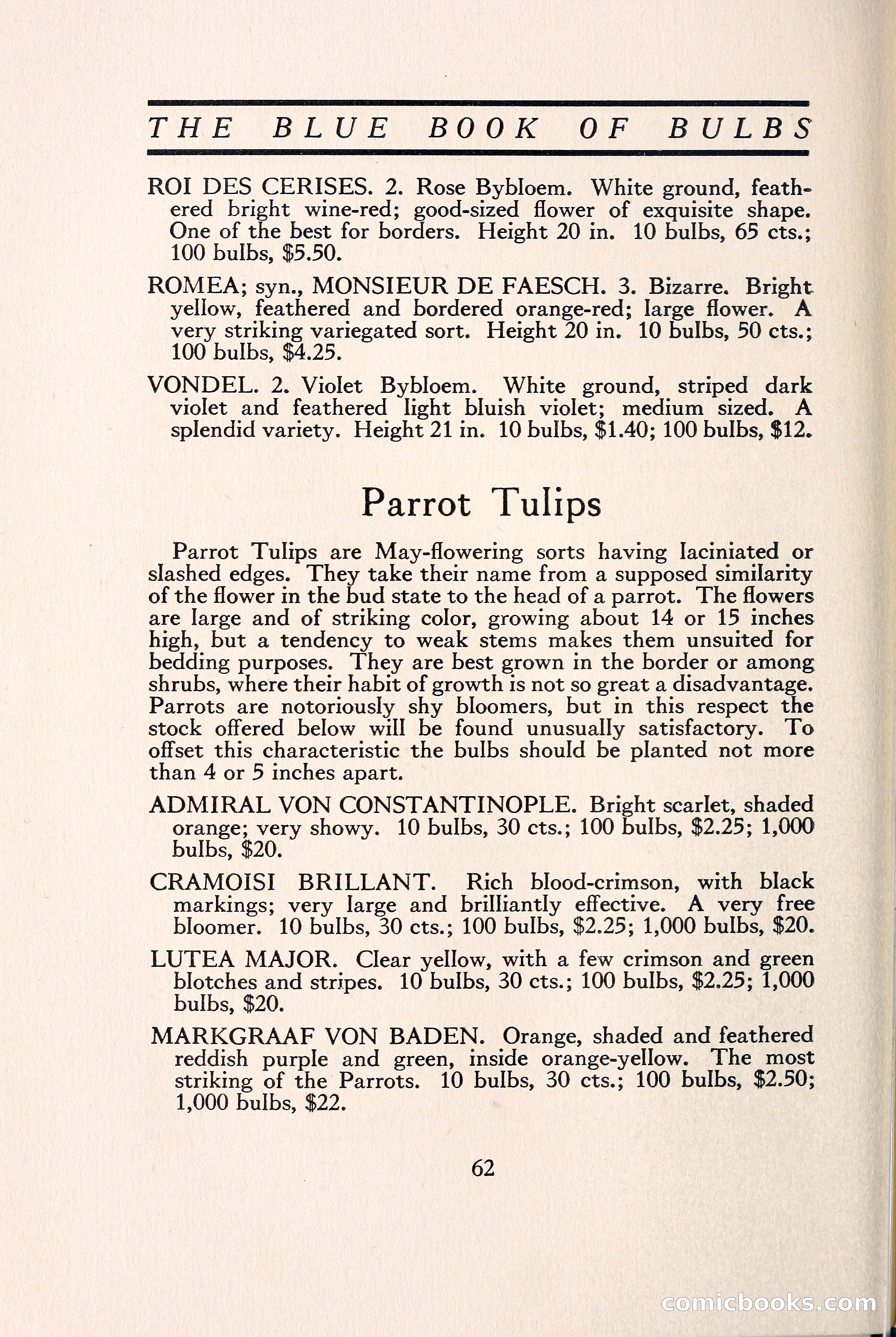 Blue Book of Bulbs — page 69 of 109