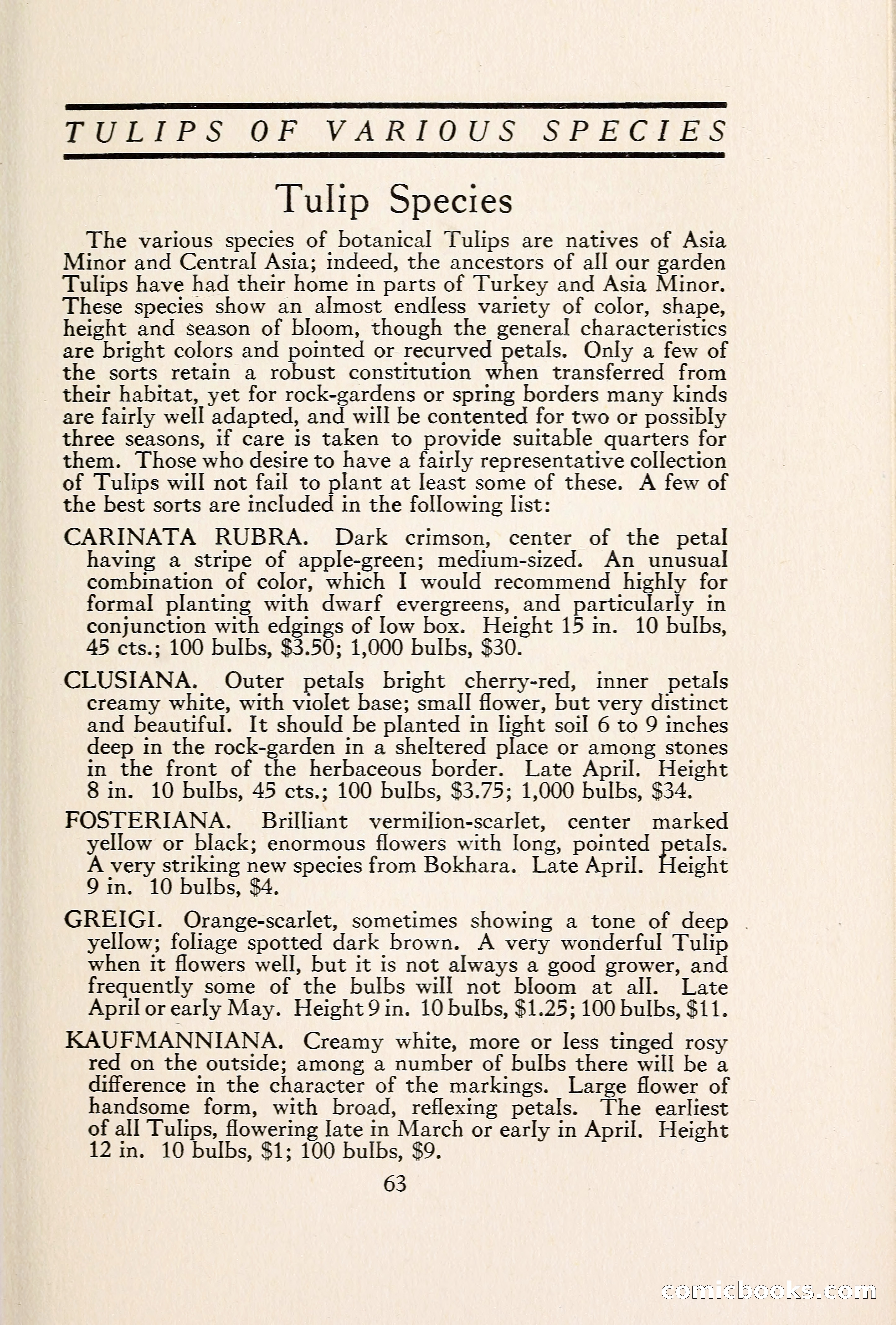 Blue Book of Bulbs — page 70 of 109