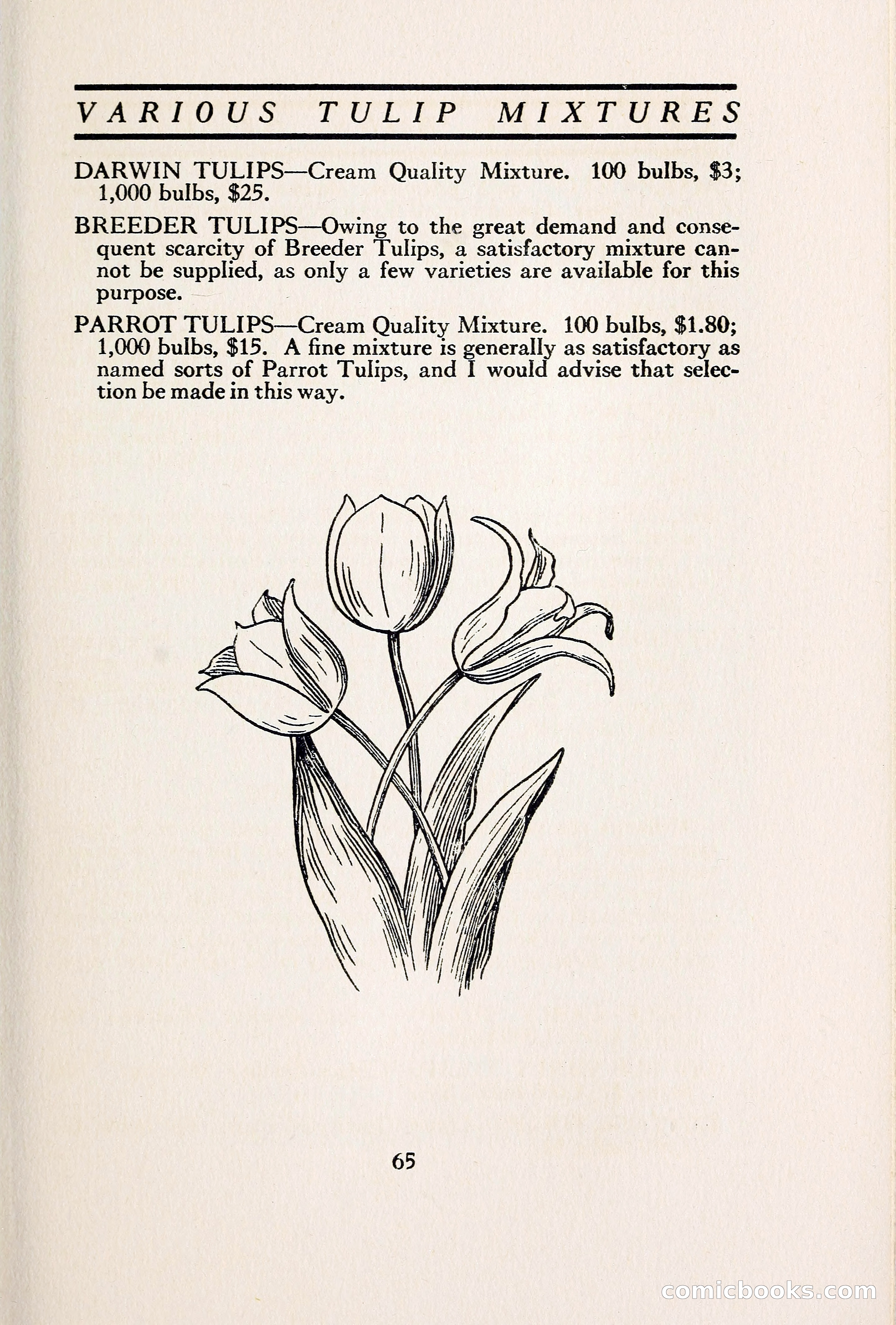 Blue Book of Bulbs — page 72 of 109