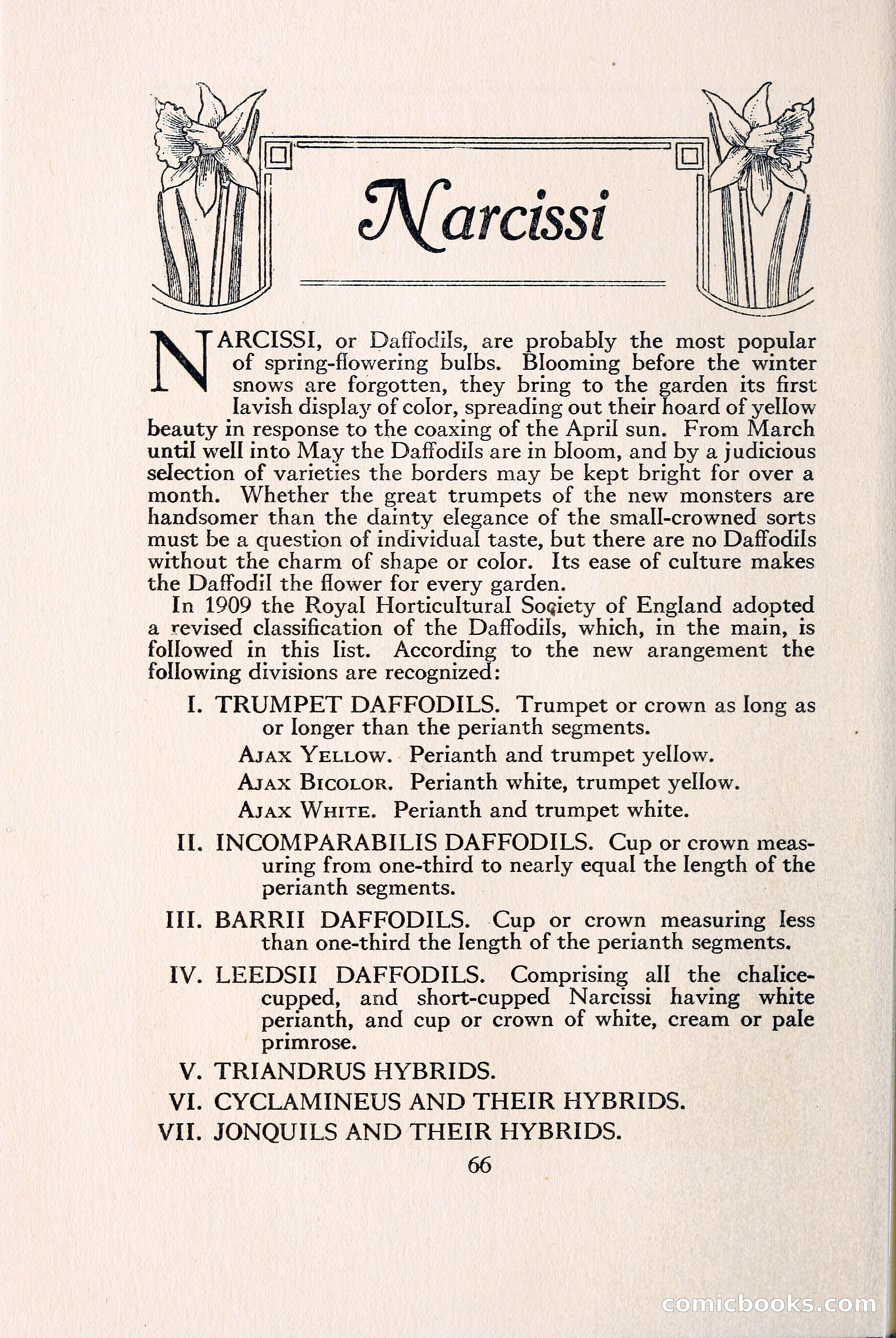 Blue Book of Bulbs — page 73 of 109