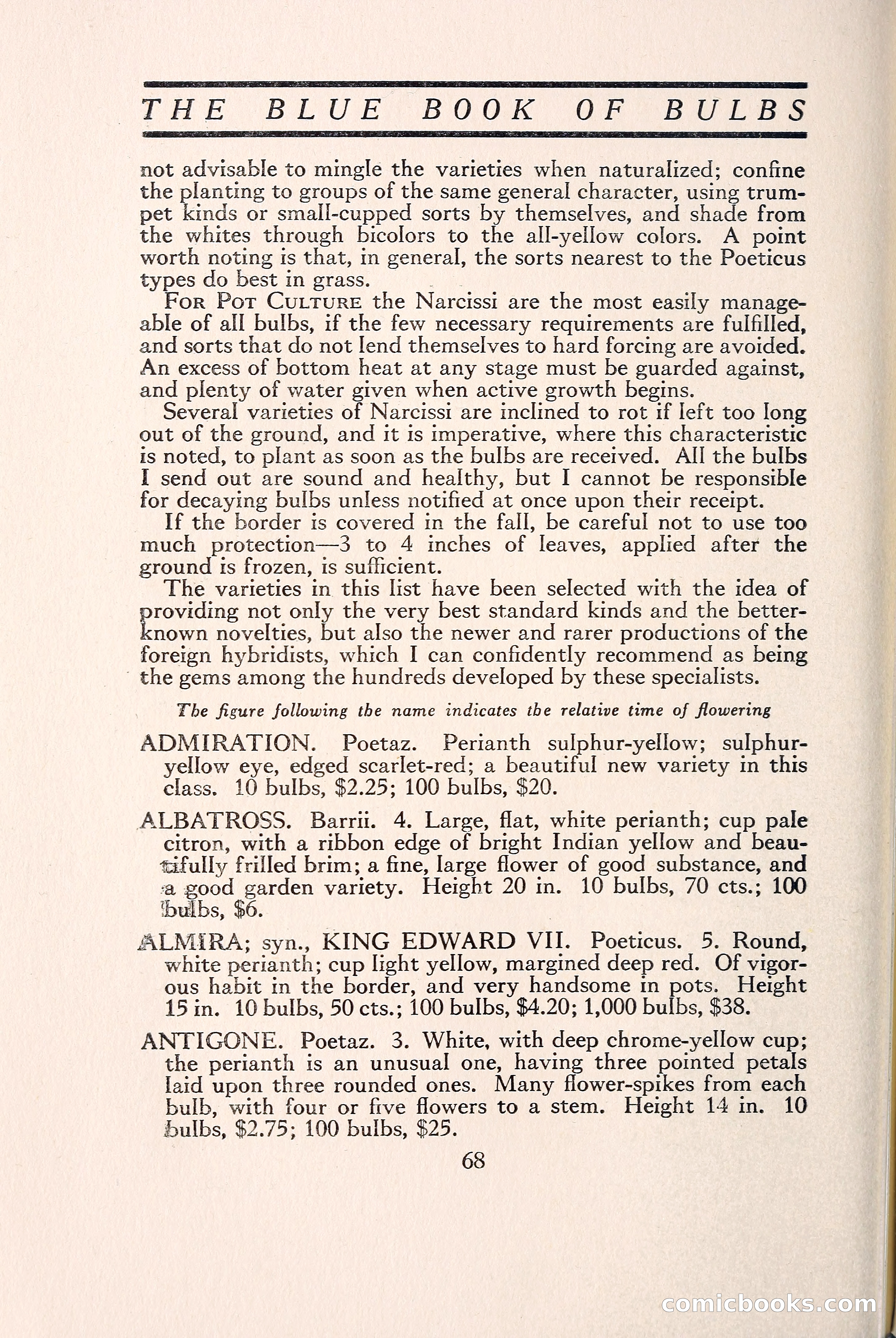 Blue Book of Bulbs — page 77 of 109