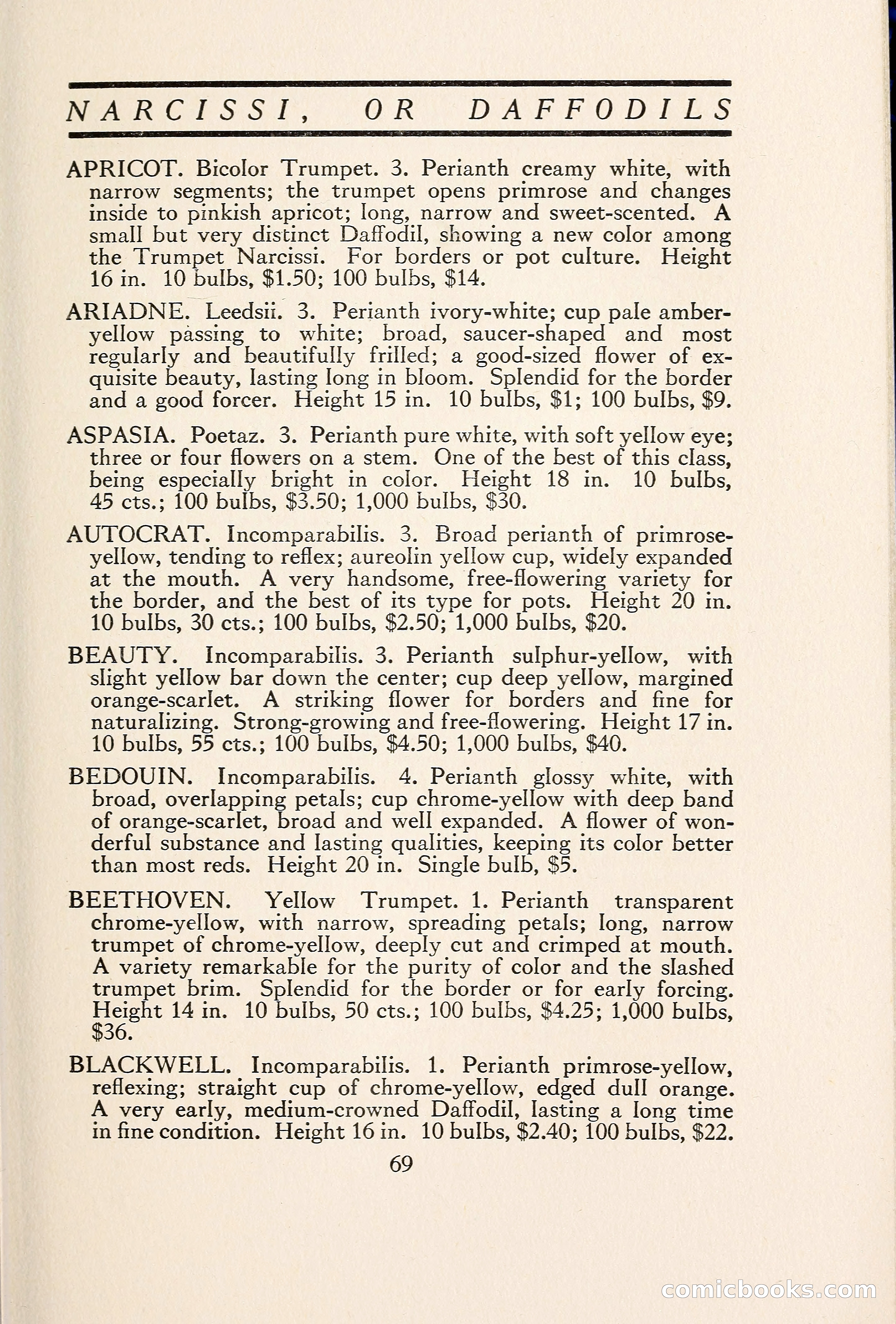 Blue Book of Bulbs — page 78 of 109