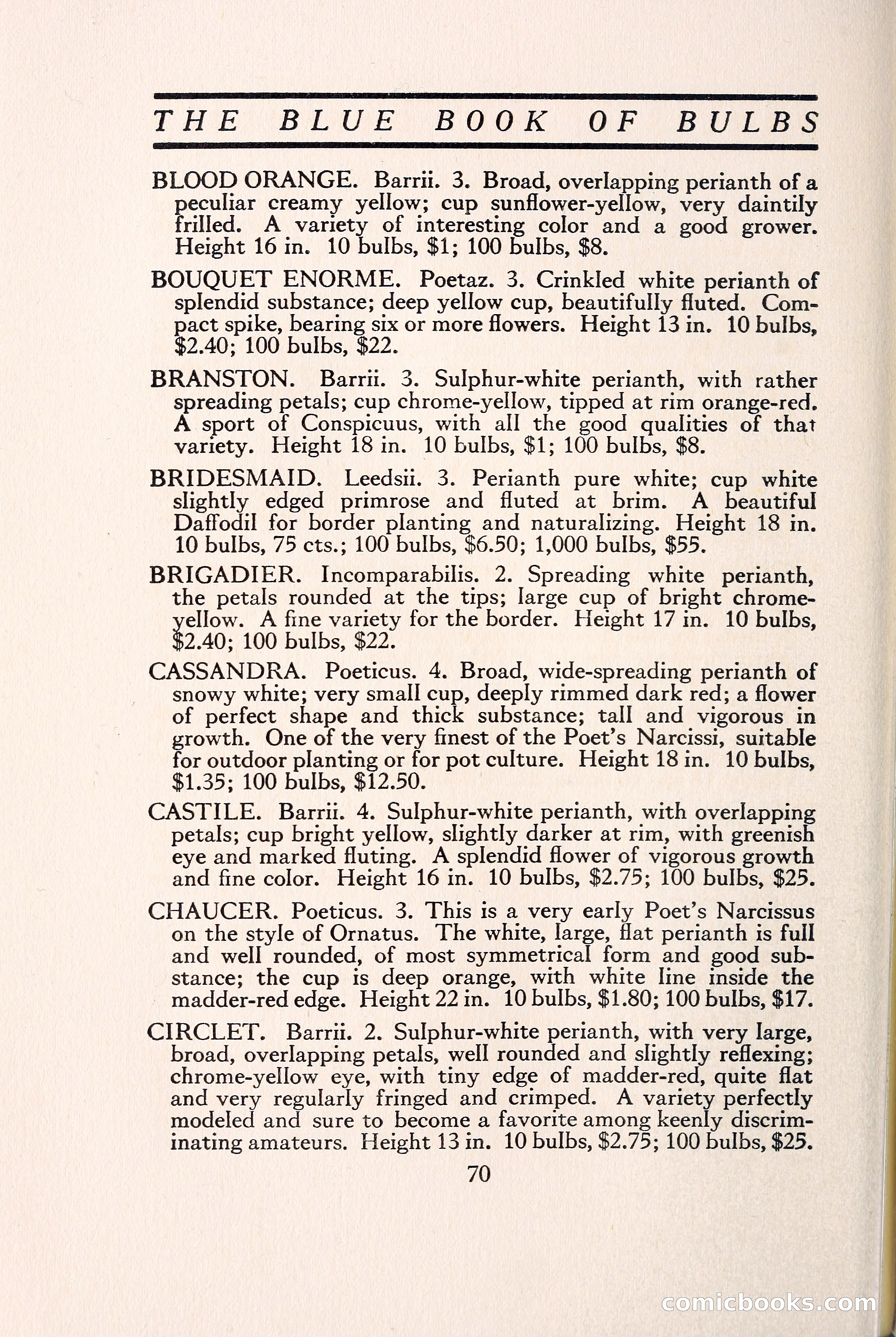 Blue Book of Bulbs — page 79 of 109