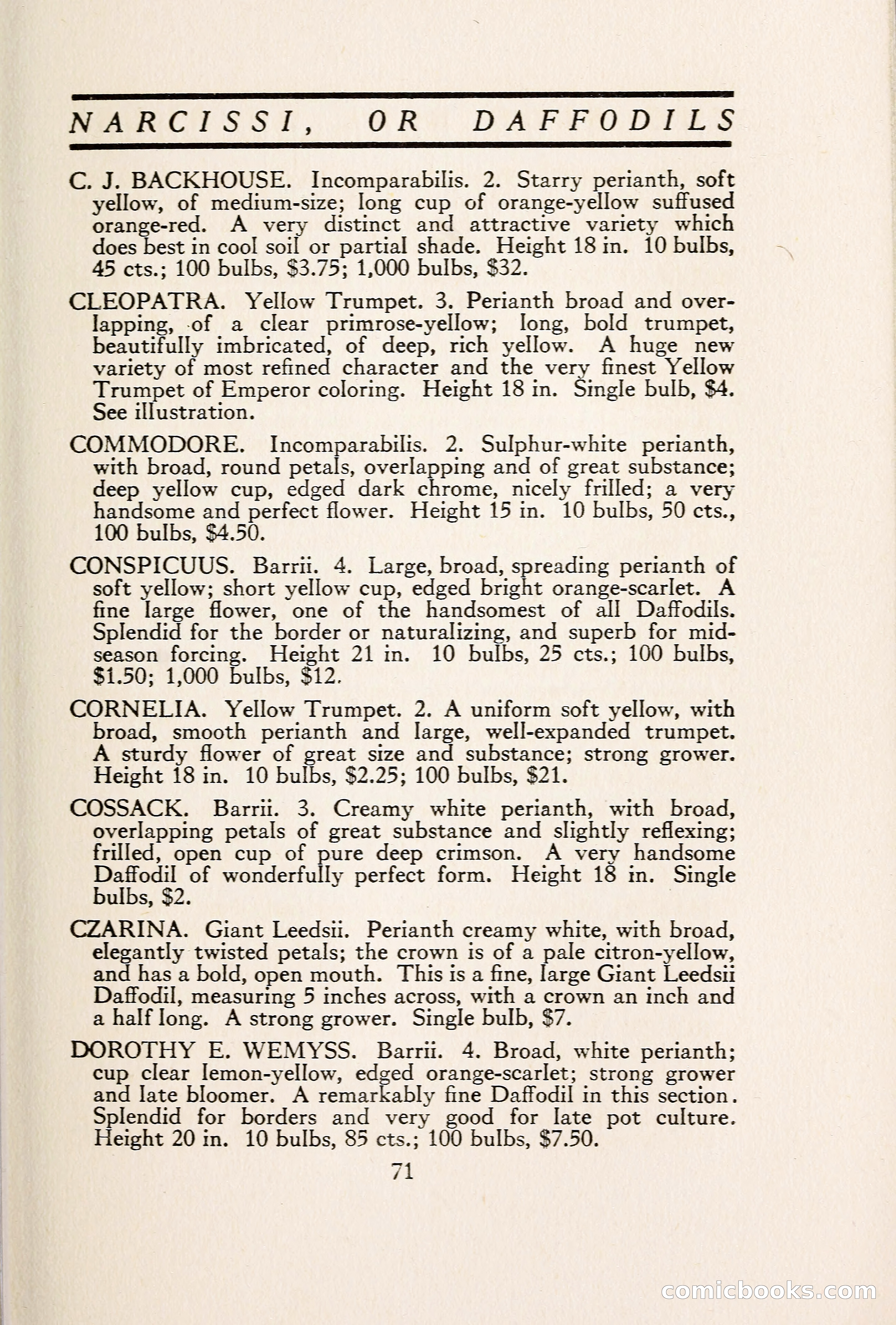 Blue Book of Bulbs — page 80 of 109