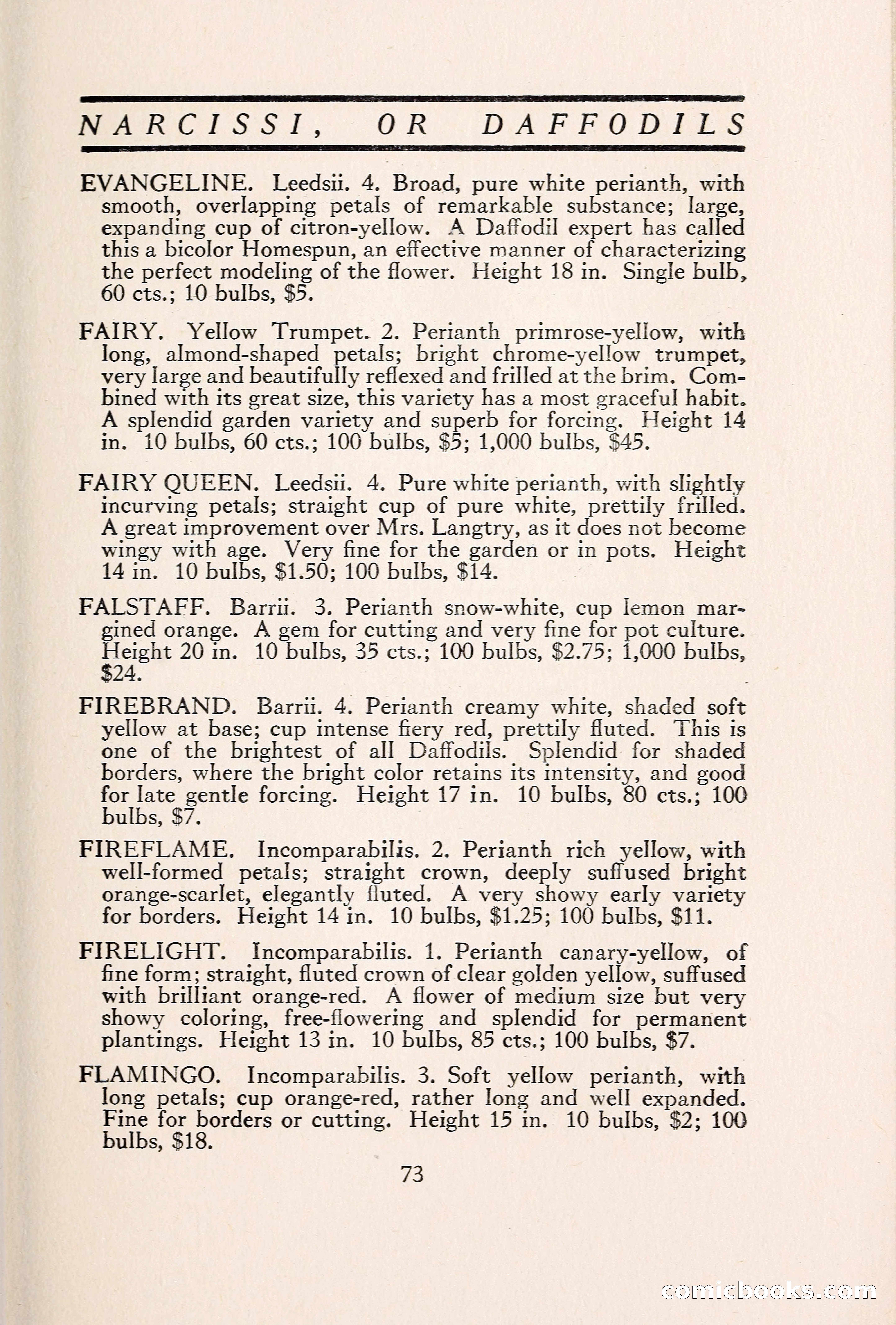 Blue Book of Bulbs — page 82 of 109