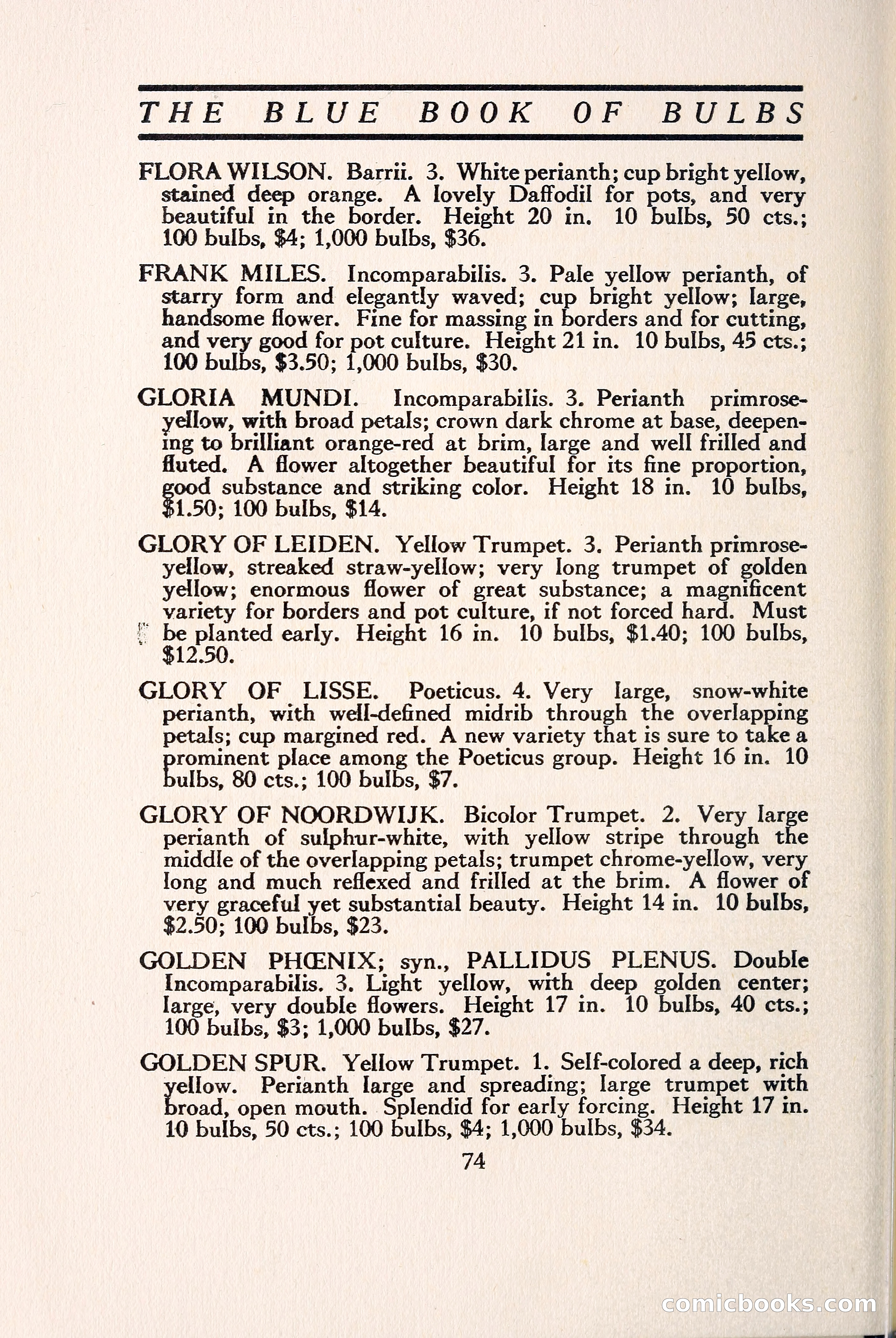 Blue Book of Bulbs — page 83 of 109