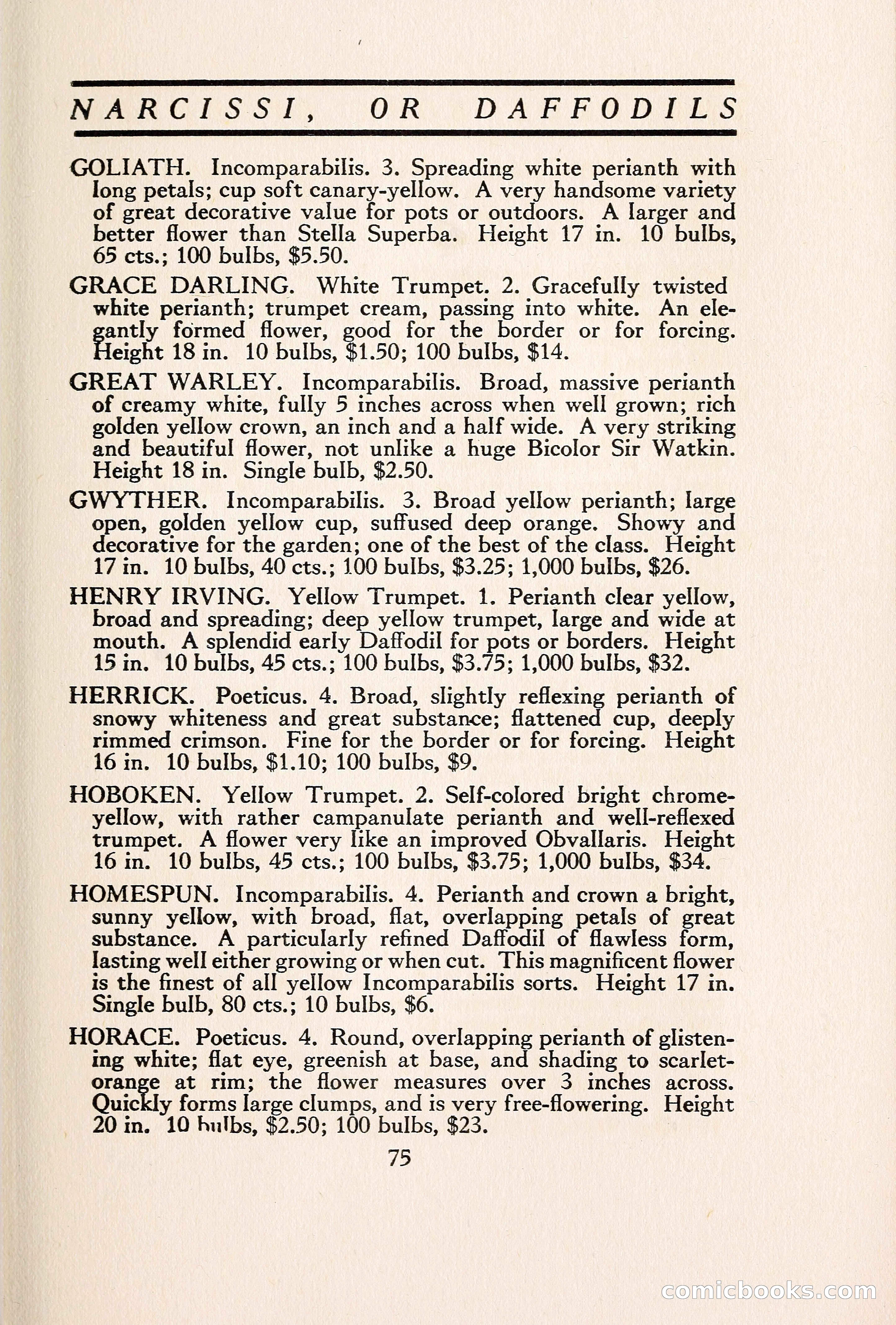 Blue Book of Bulbs — page 84 of 109