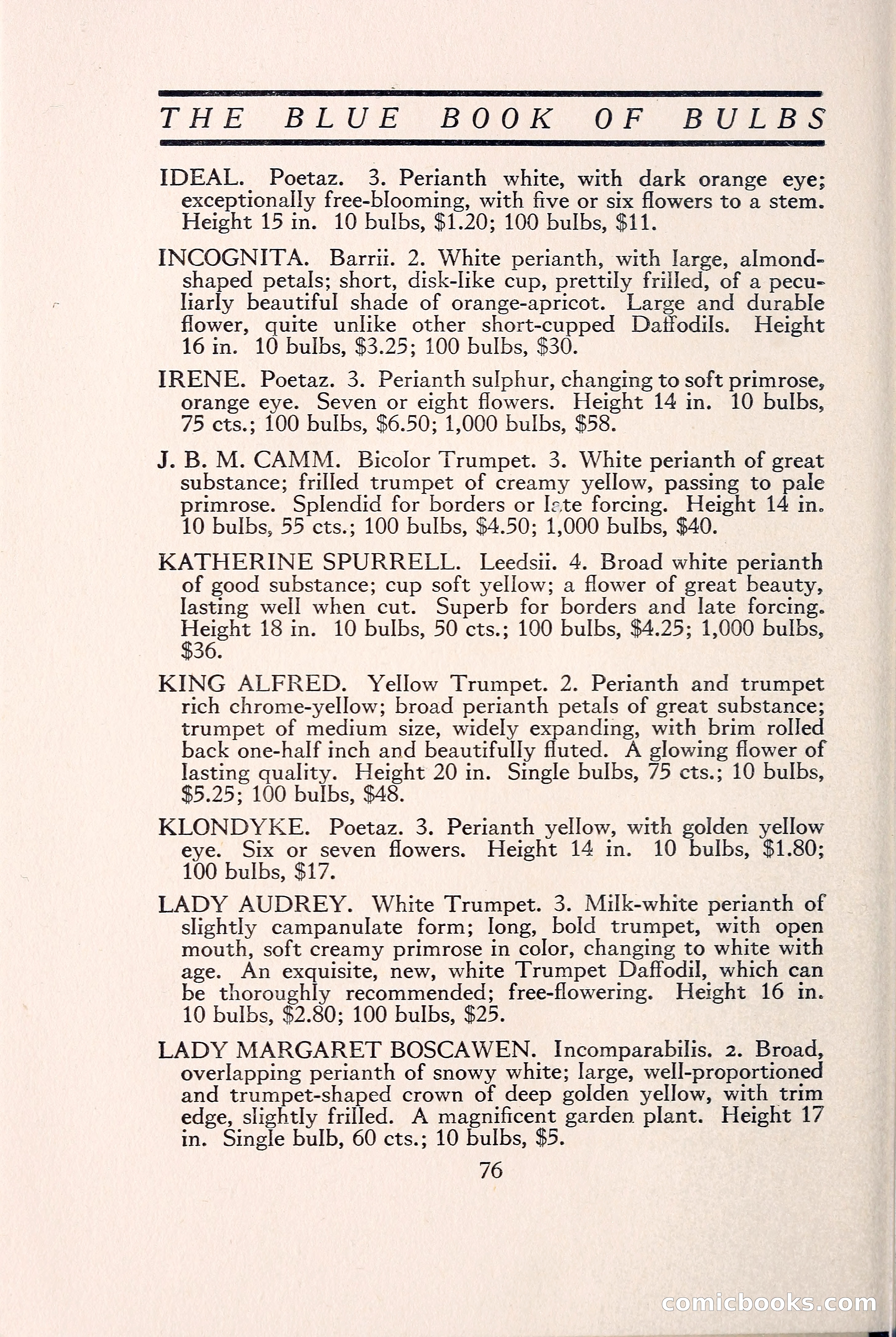 Blue Book of Bulbs — page 85 of 109
