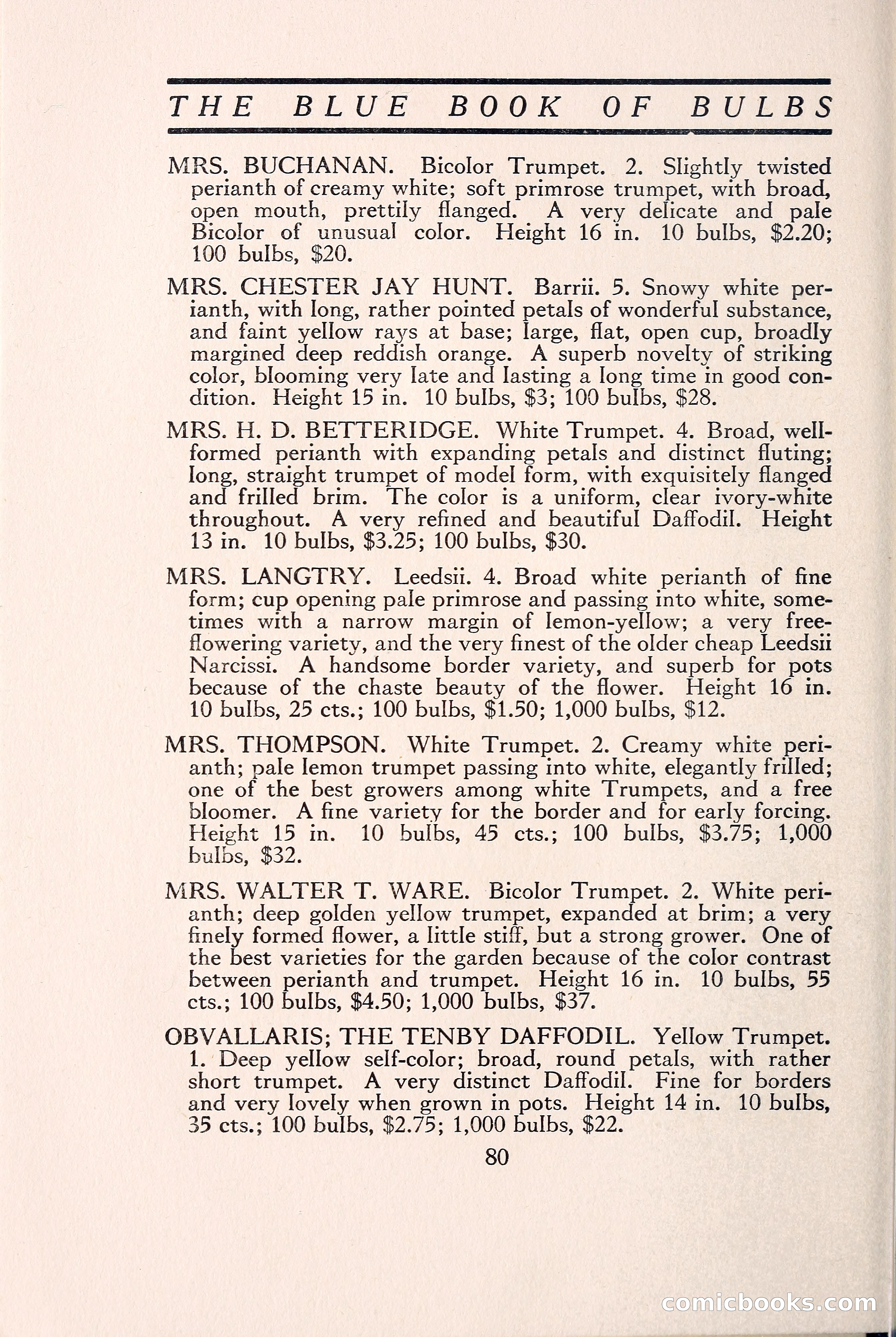 Blue Book of Bulbs — page 89 of 109