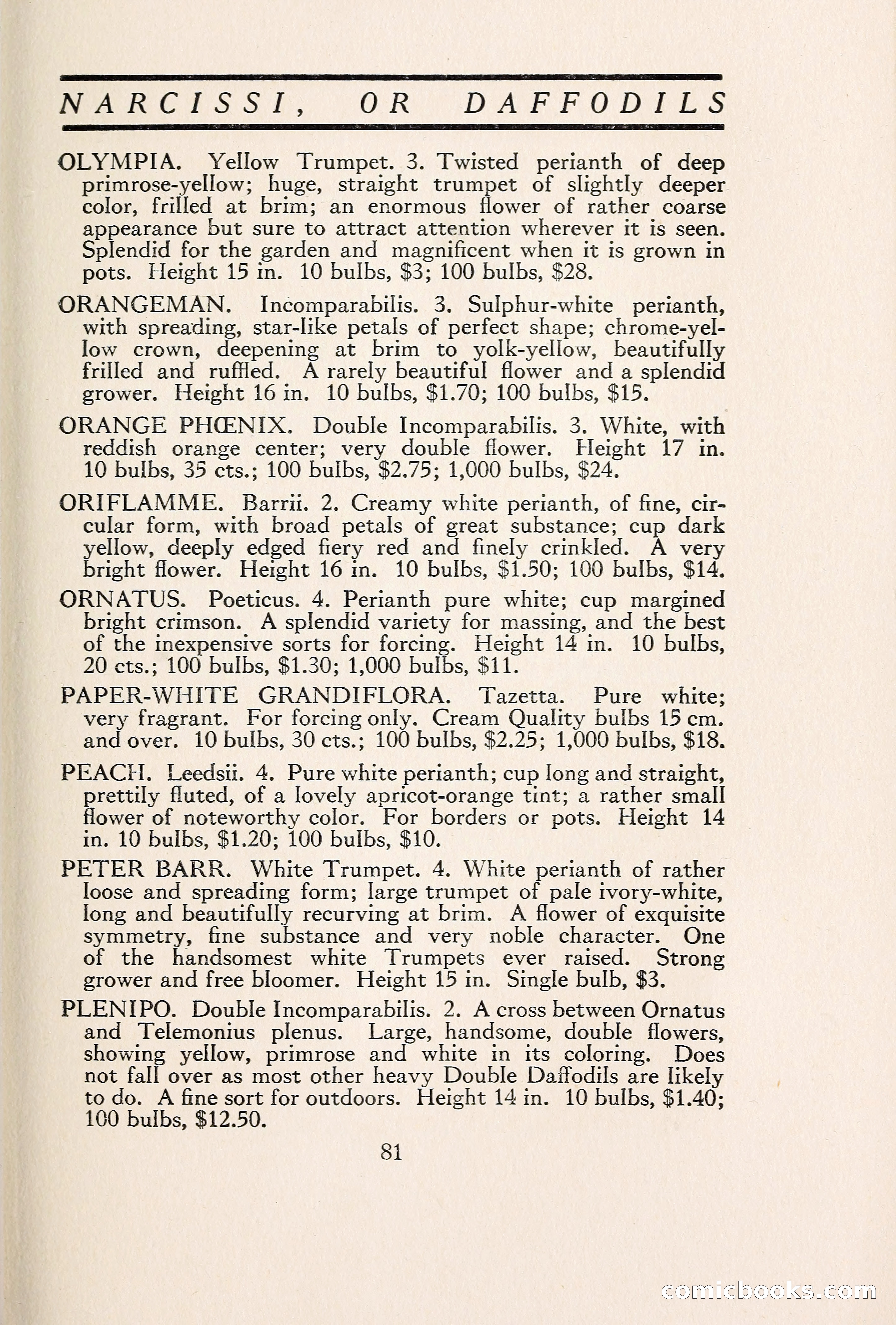 Blue Book of Bulbs — page 90 of 109