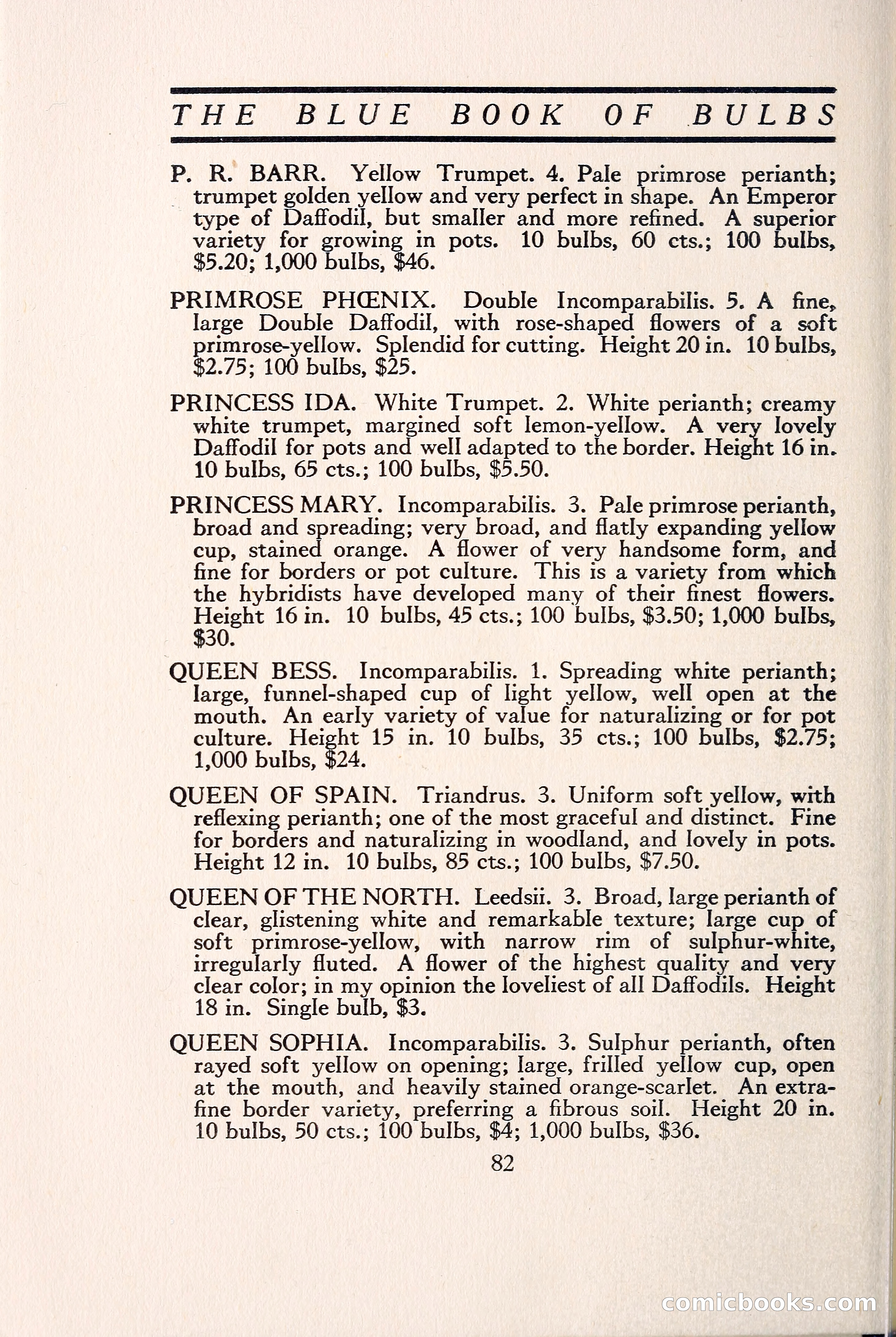 Blue Book of Bulbs — page 91 of 109