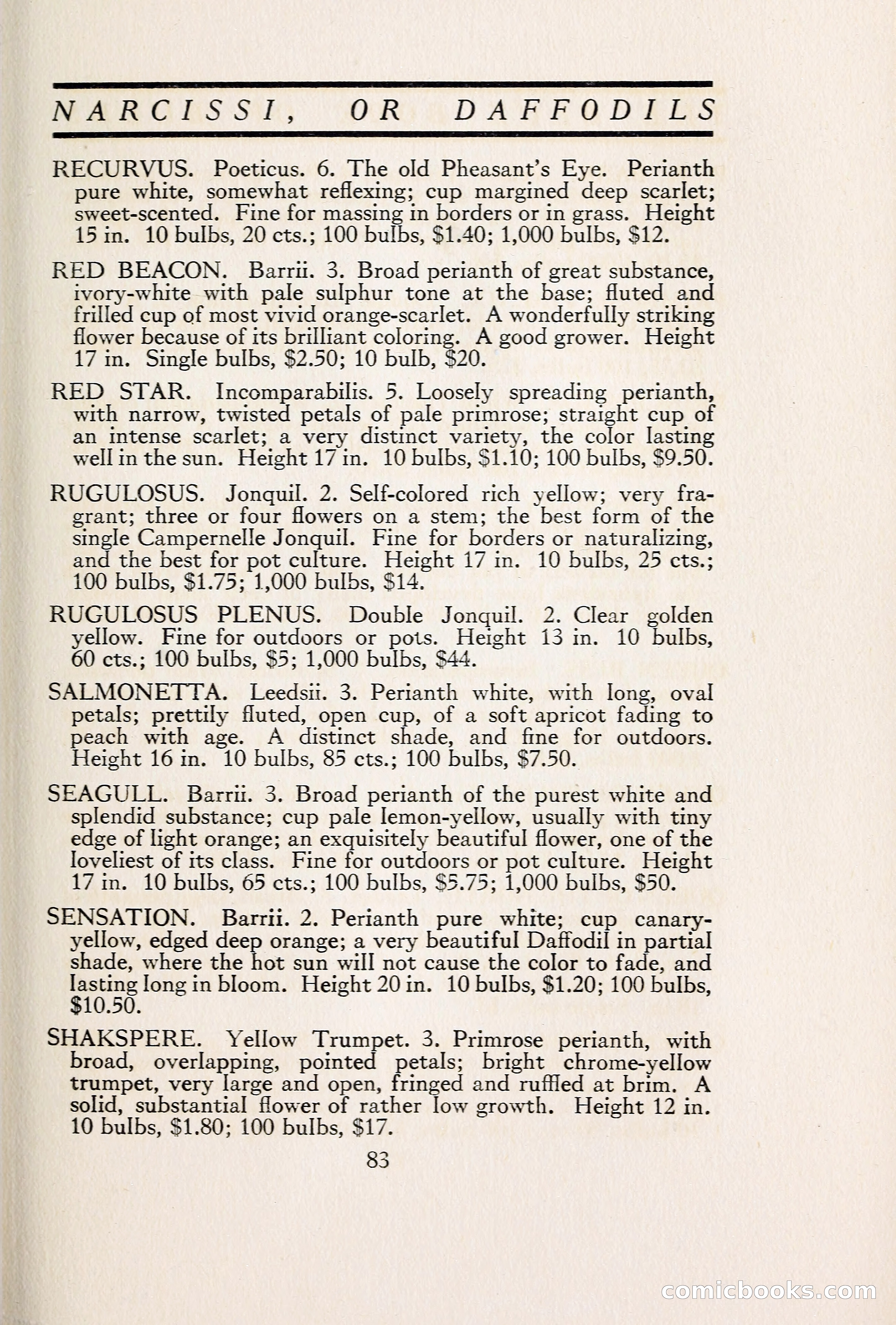 Blue Book of Bulbs — page 92 of 109