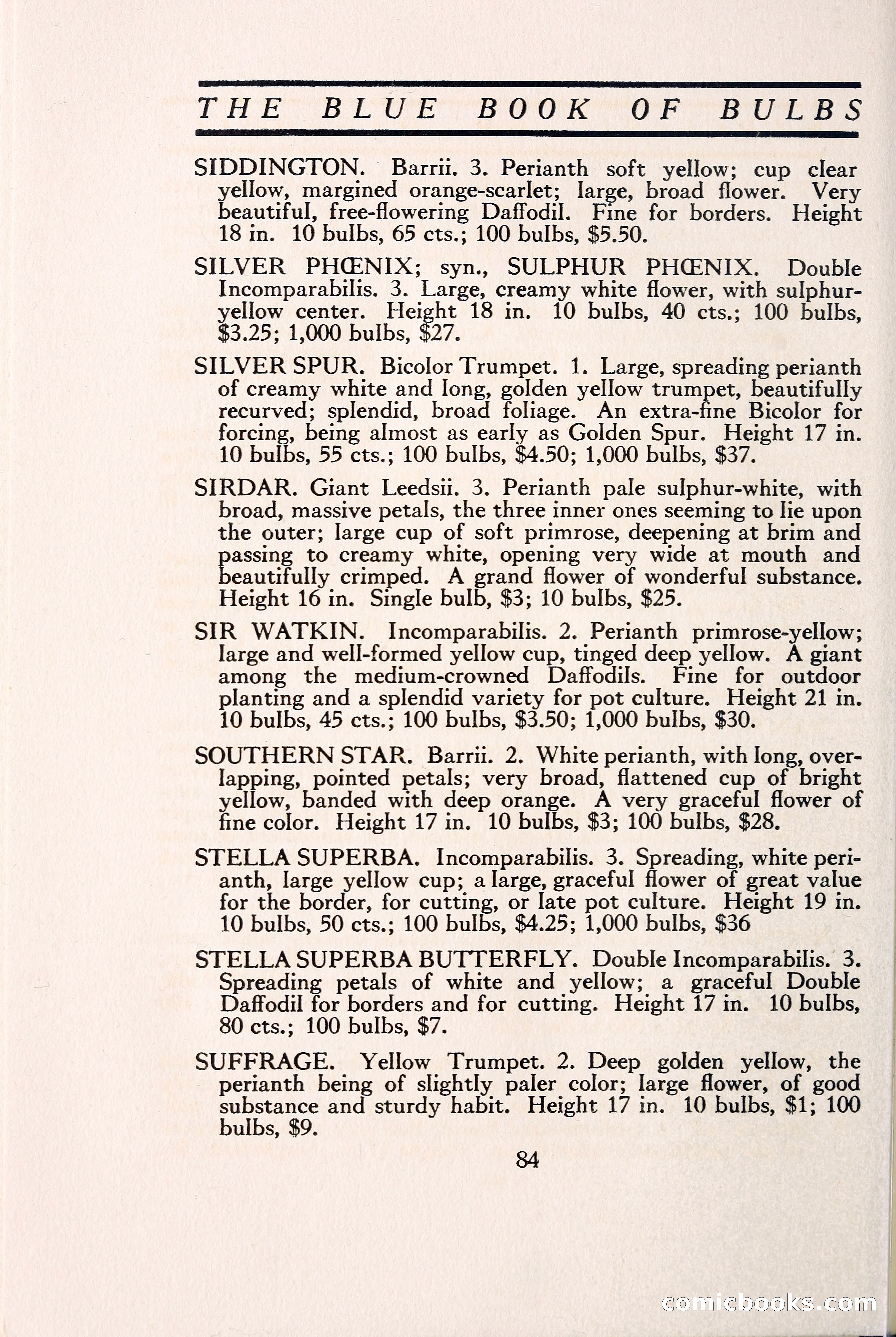 Blue Book of Bulbs — page 93 of 109