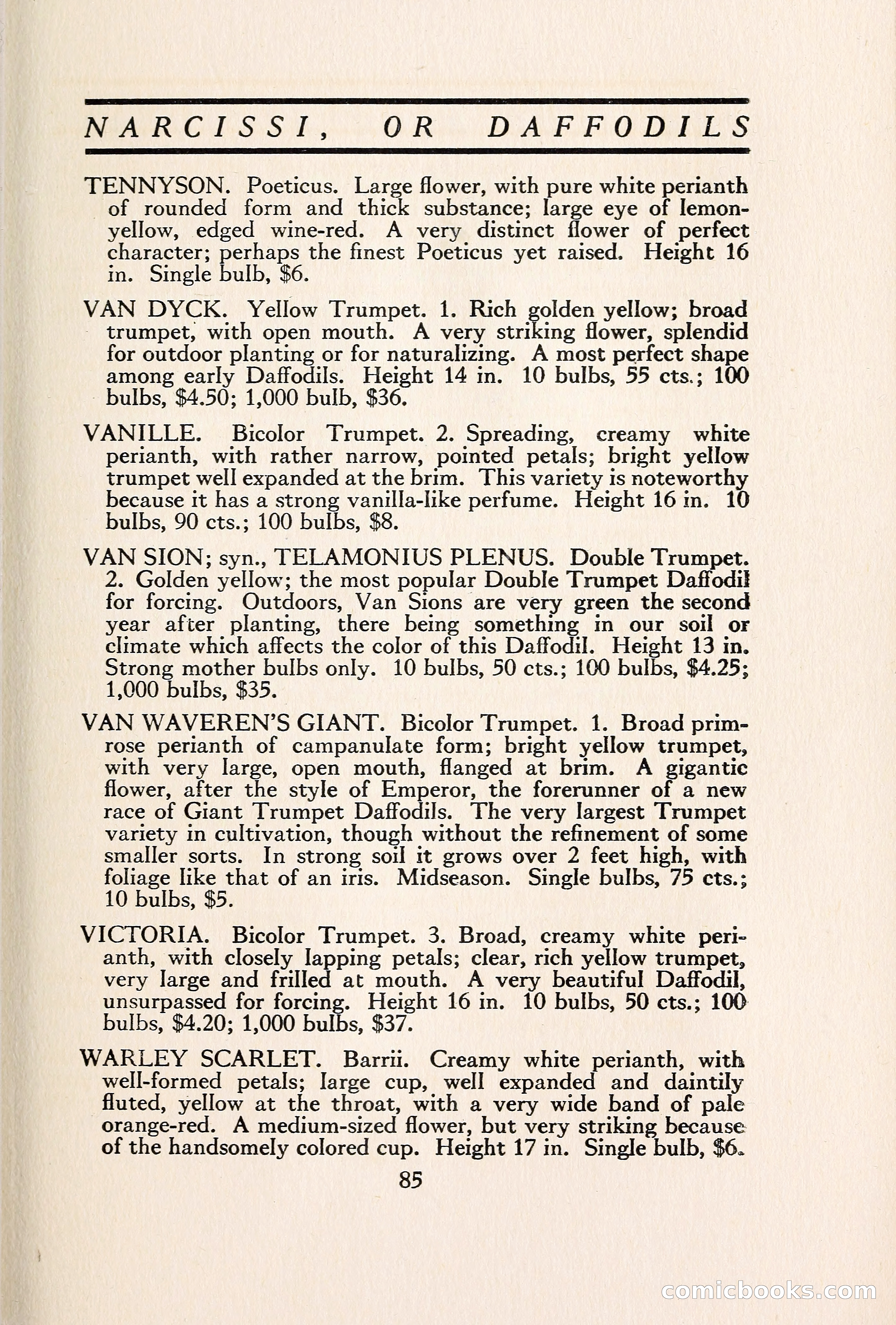 Blue Book of Bulbs — page 94 of 109