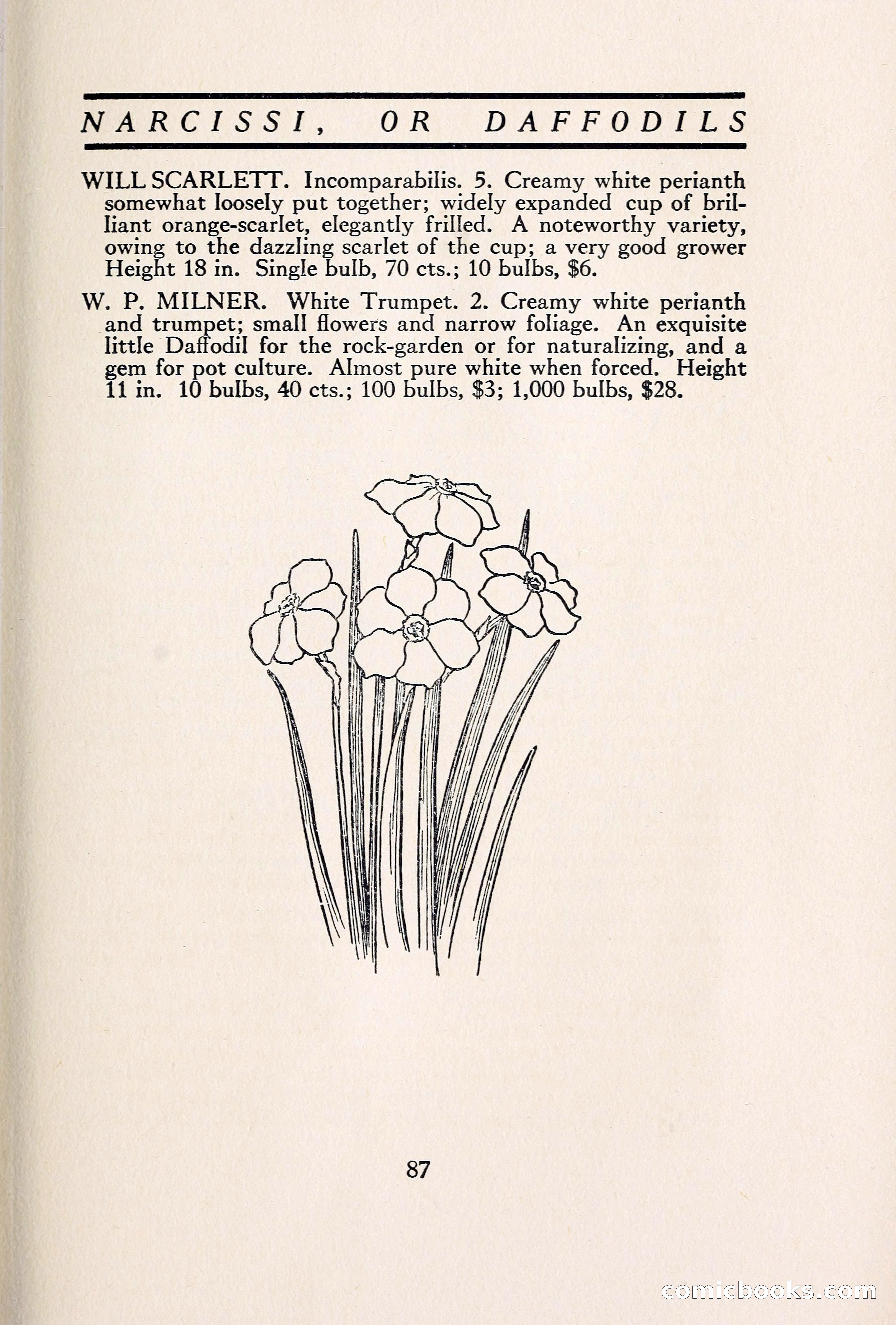 Blue Book of Bulbs — page 96 of 109