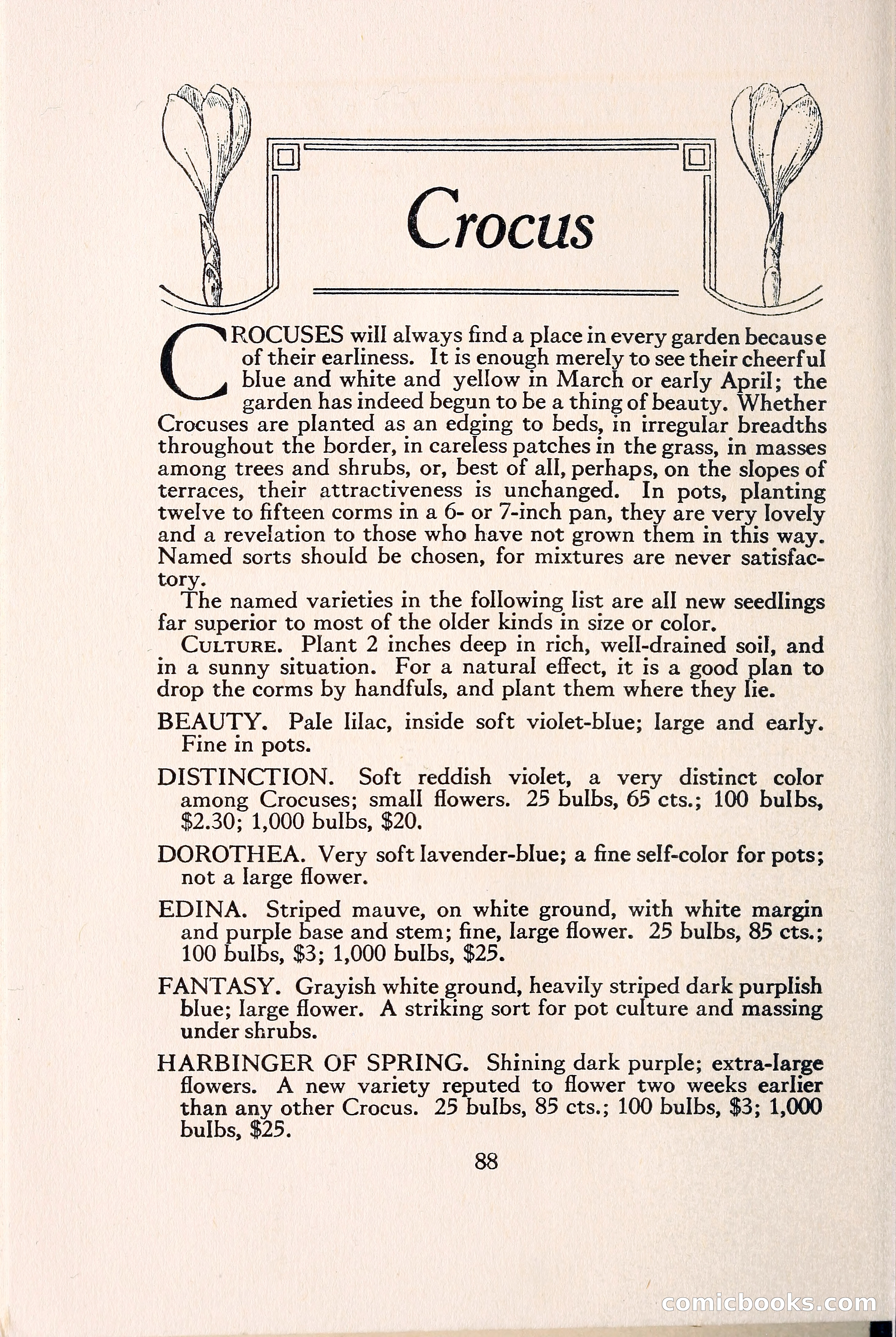 Blue Book of Bulbs — page 97 of 109
